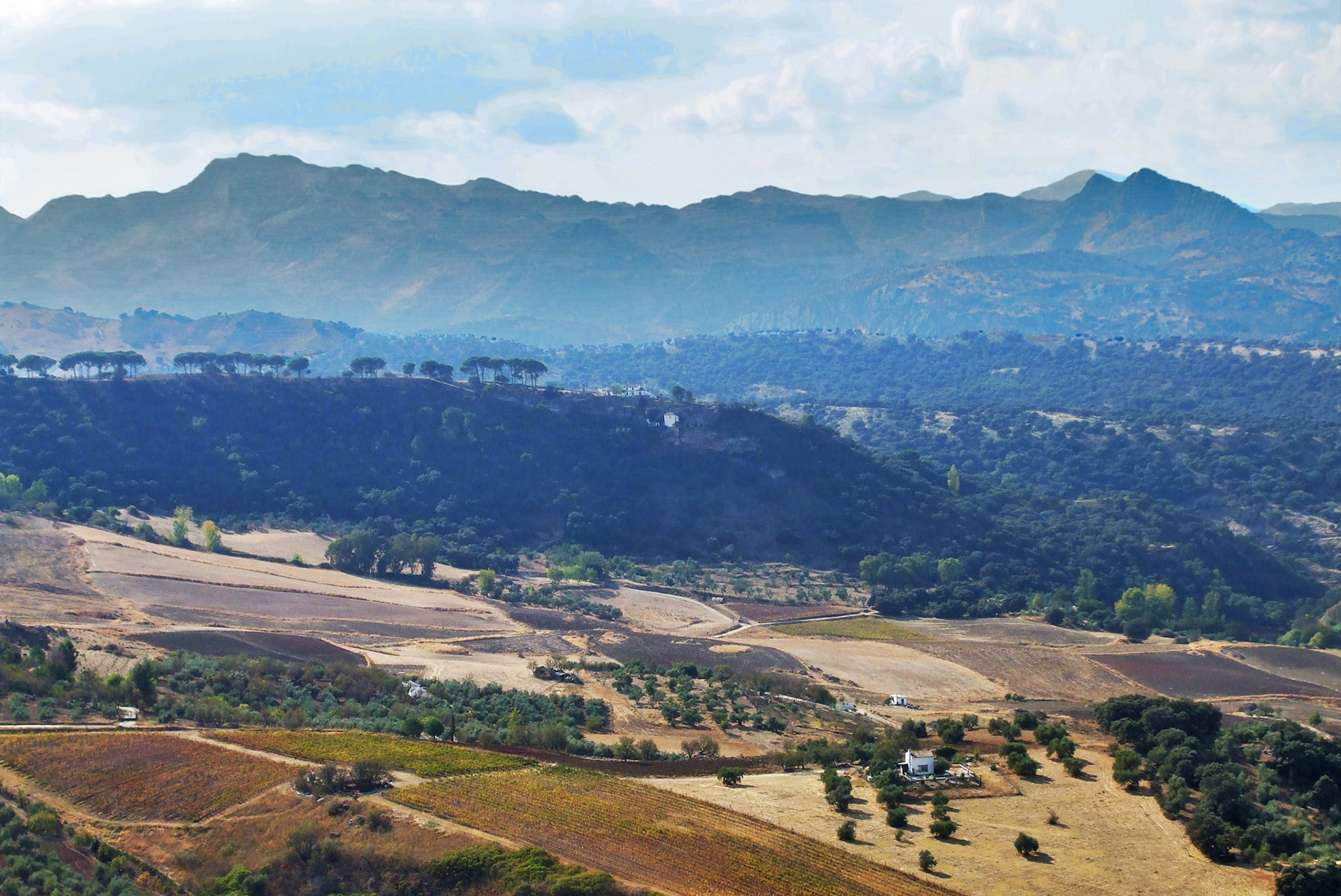 From Ronda
