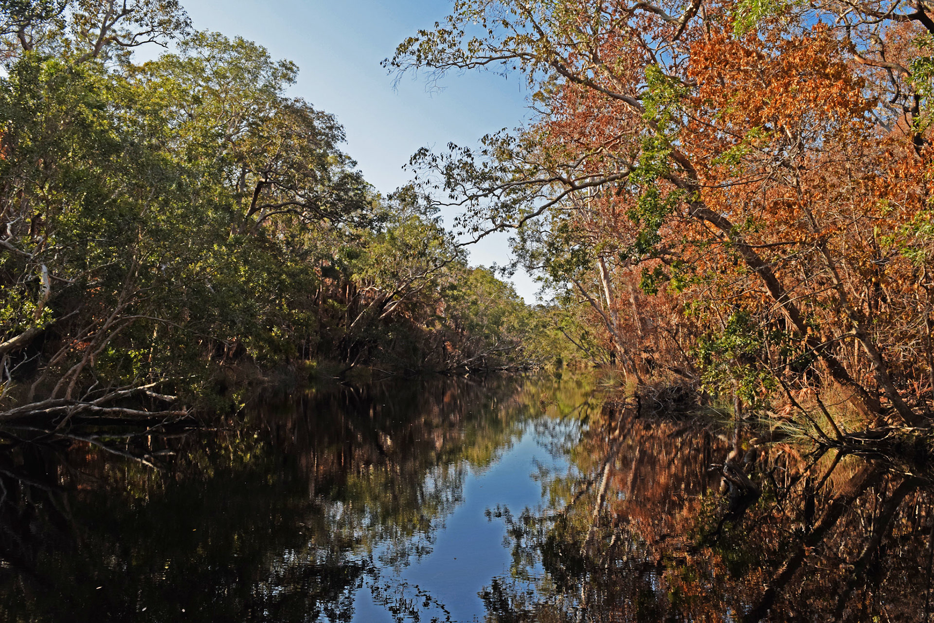 Oiled river