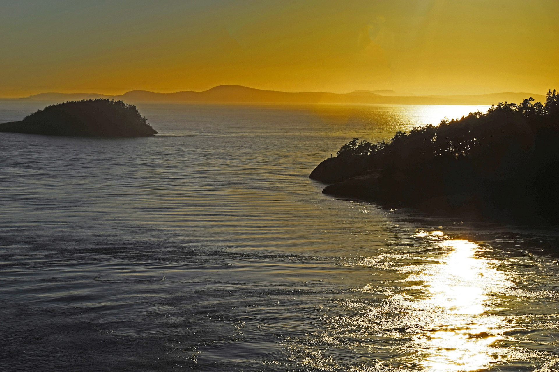 Golden Sunset