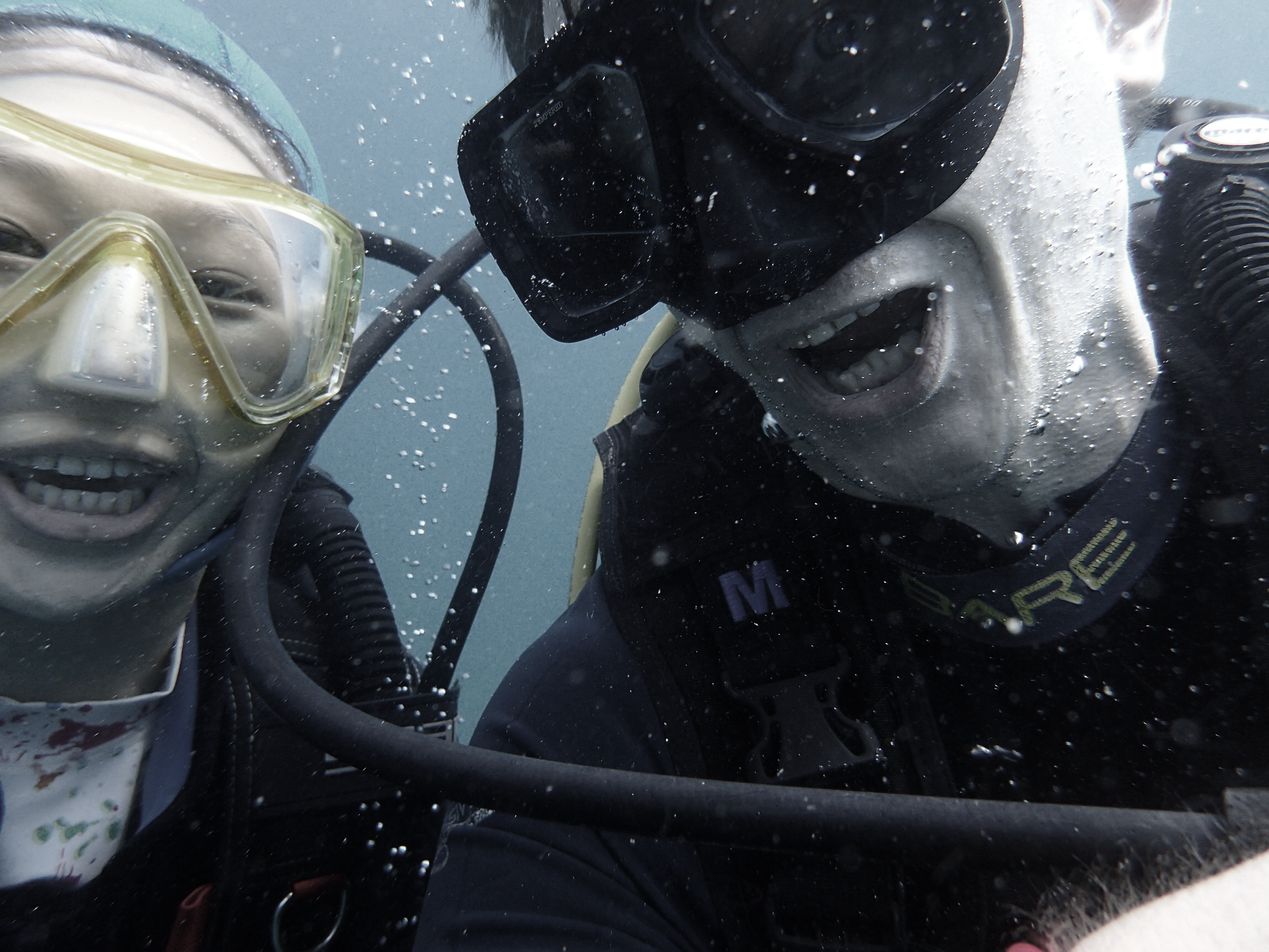 Diving together
