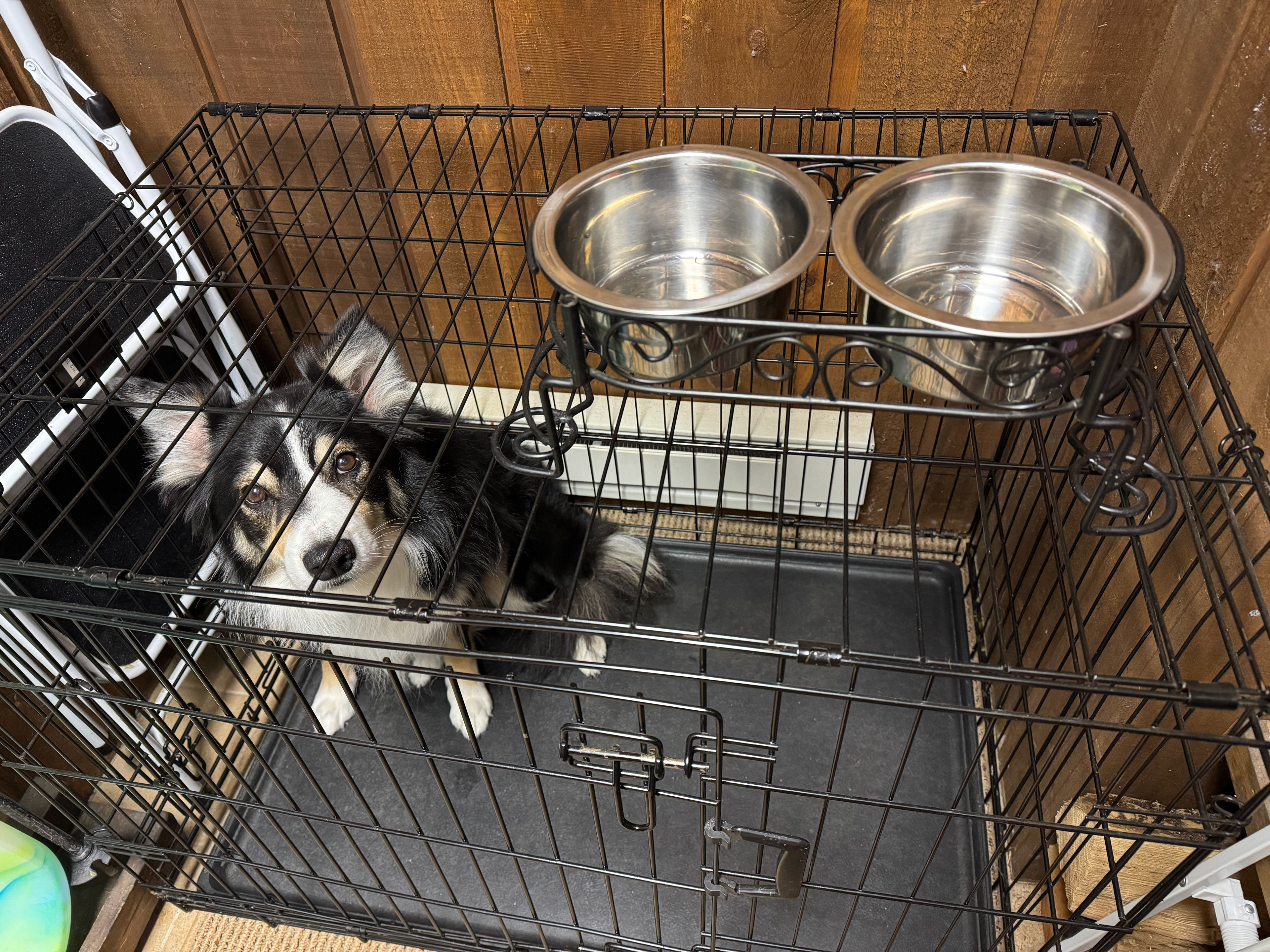 Dog Bowl on the Crate (And my cute baby!)