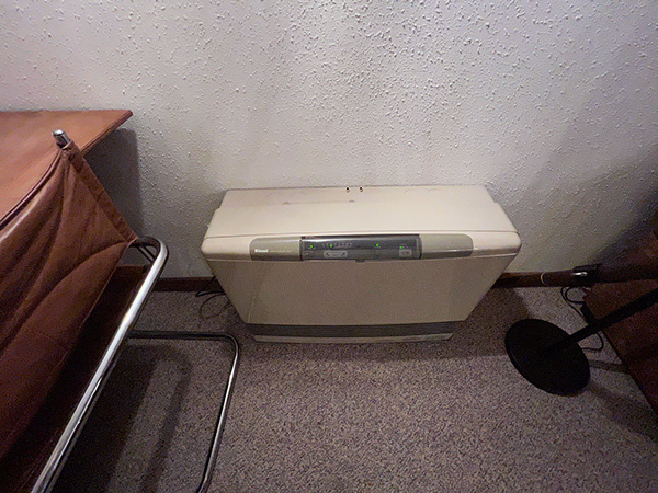 Propane Heater in Living Room