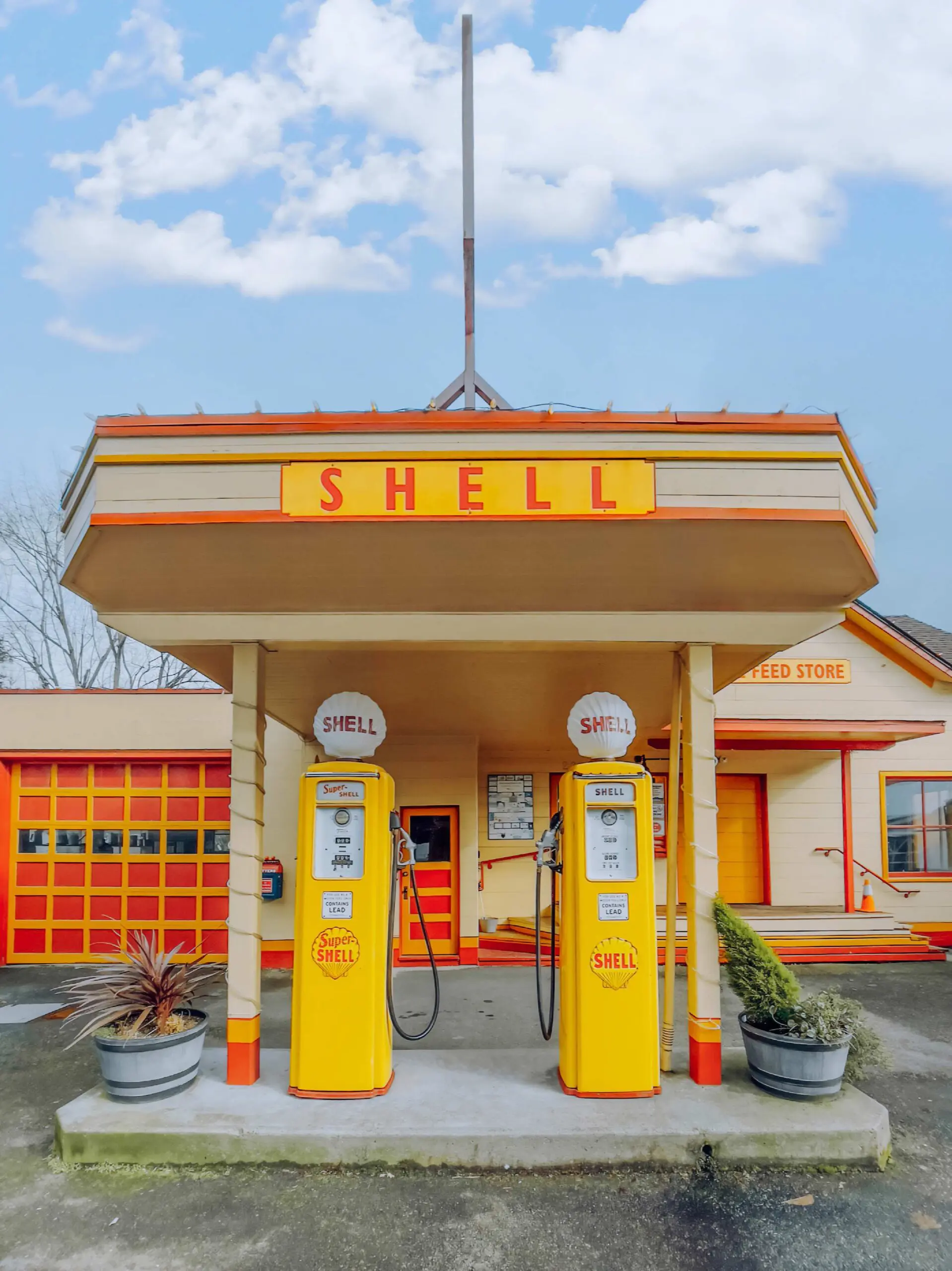 Bron: https://accidentallywesanderson.com/