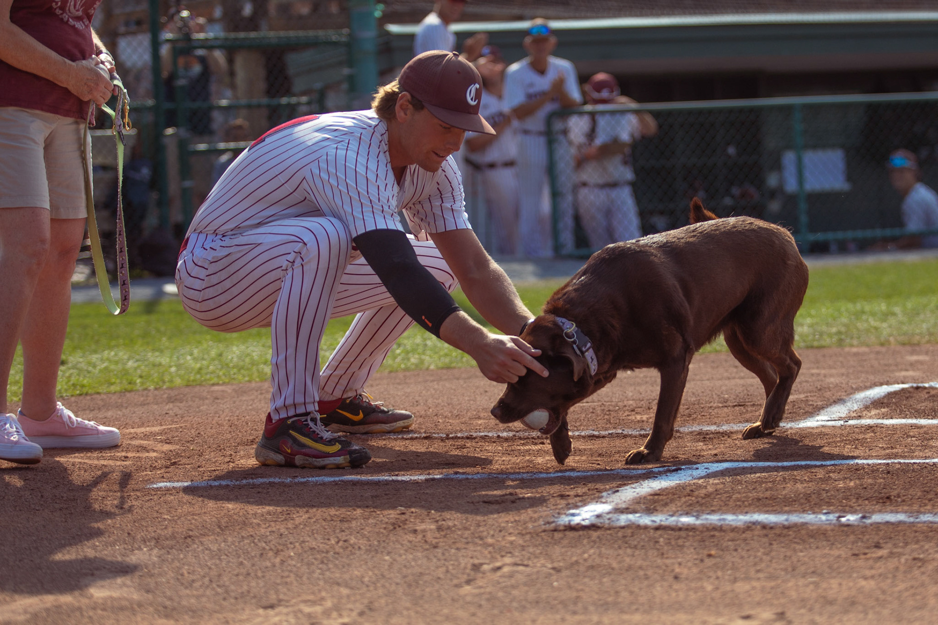 "Bark in the Park" Pitcher carried a solid strike to Mikey Ebner (Pitcher)