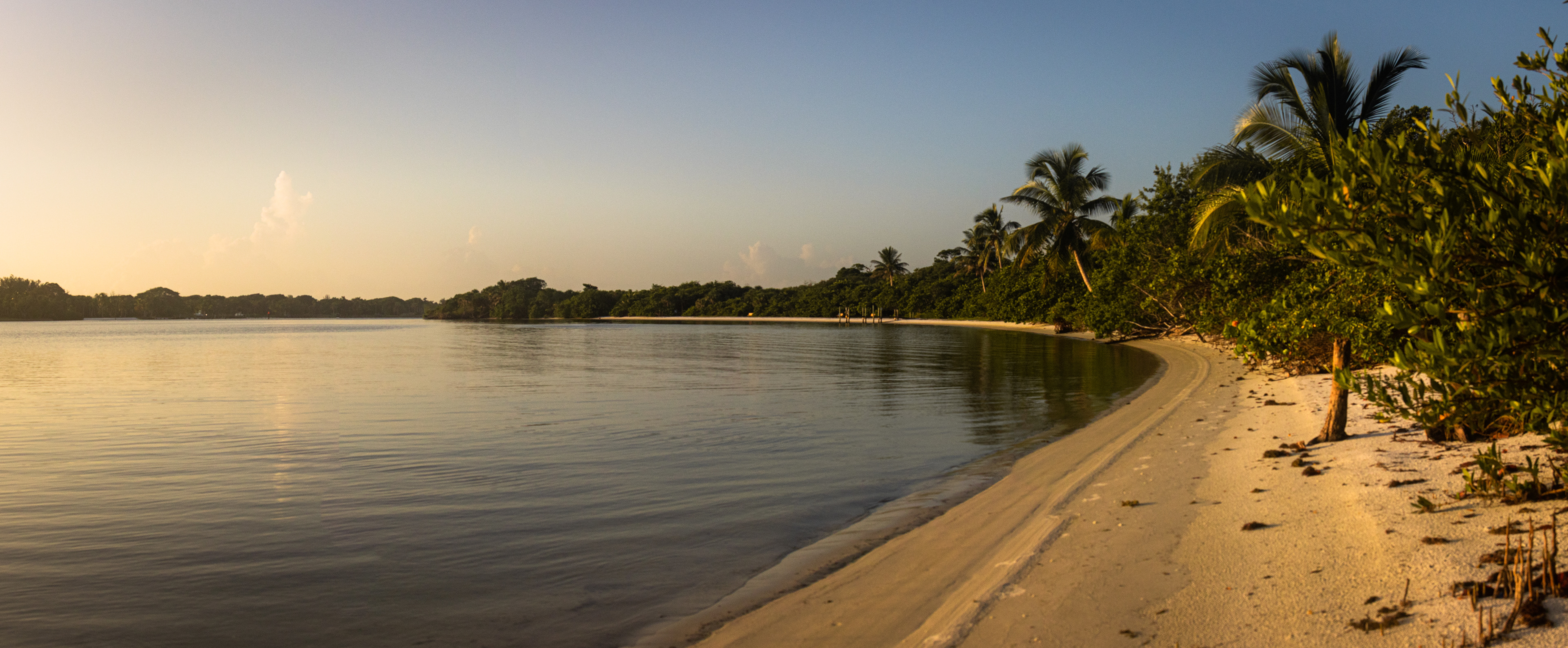 Every mile is documented through: -field journals -wildlife encounters, -camping, -changing weather, and the unpredictable reality of traveling Florida’s coastline alone.