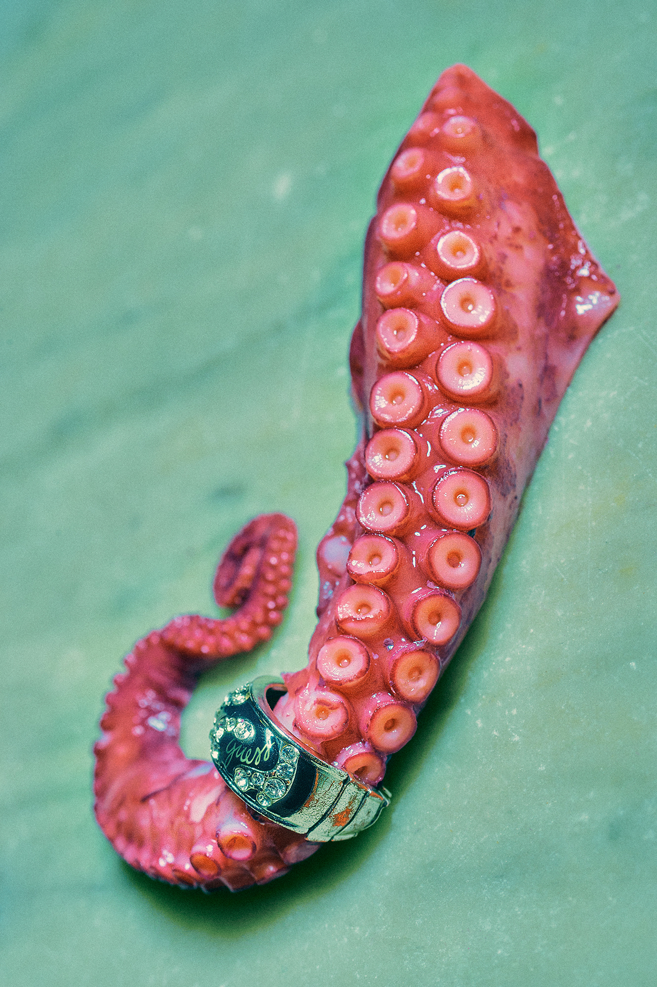 fineart, orwel, anello, gioielli, vanity fair, polpo, polporno, octopus, food