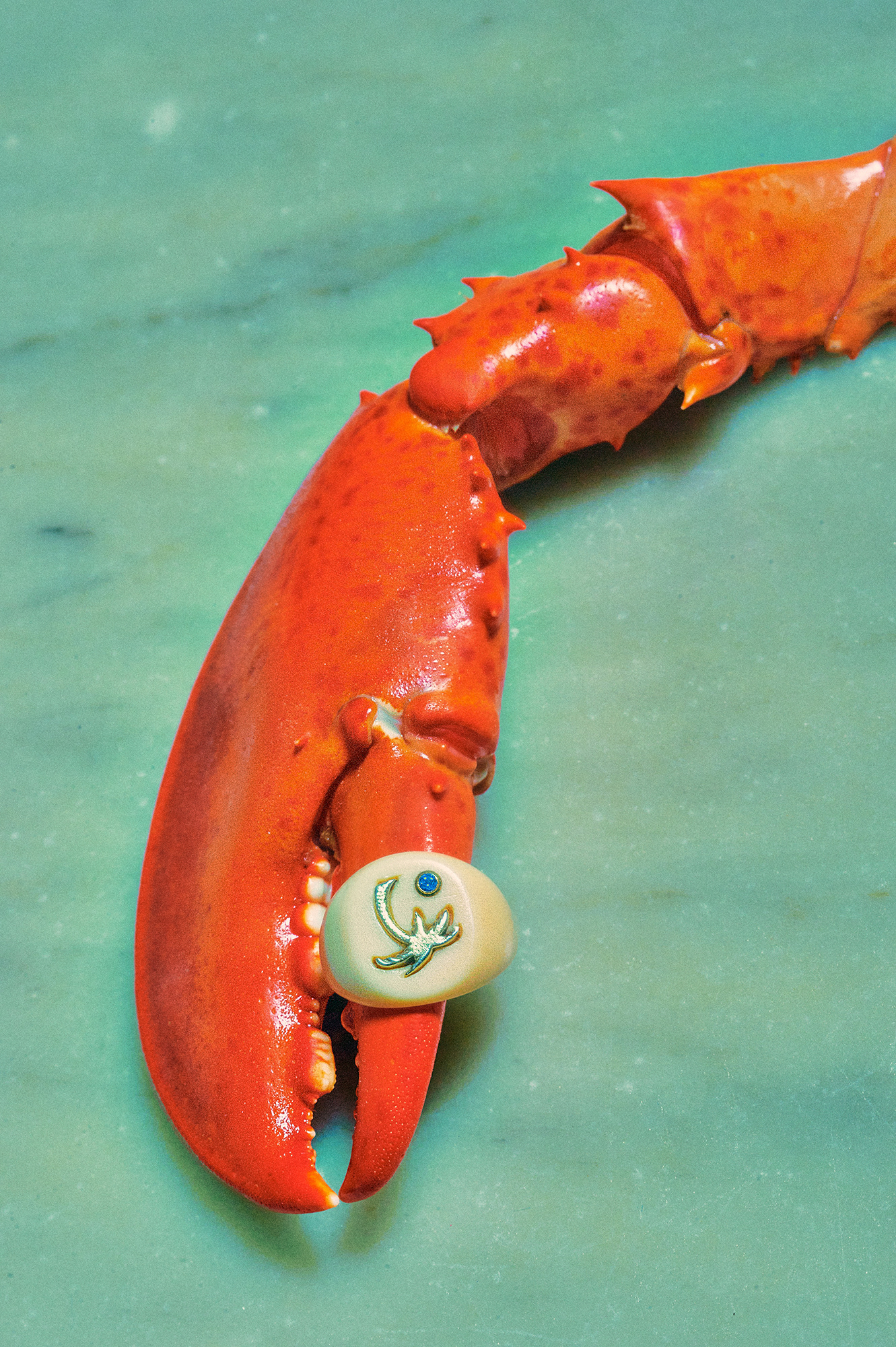 fineart, orwel, anello, gioielli, vanity fair, Lobster, harm, aragosta, zampa