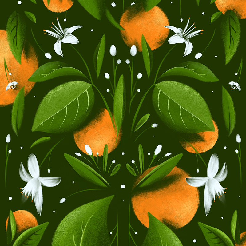 Orange Grove