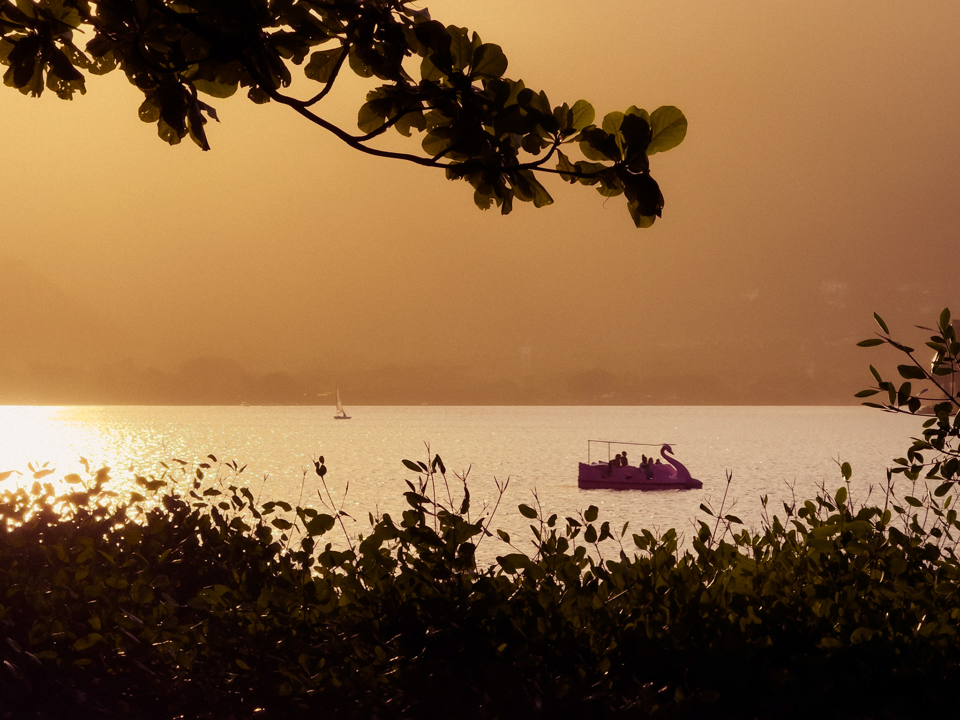 Lagoa Rodrigo de Freitas