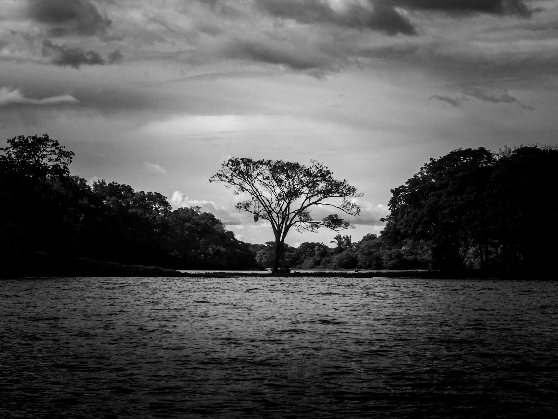 Floresta Amazônica - AM