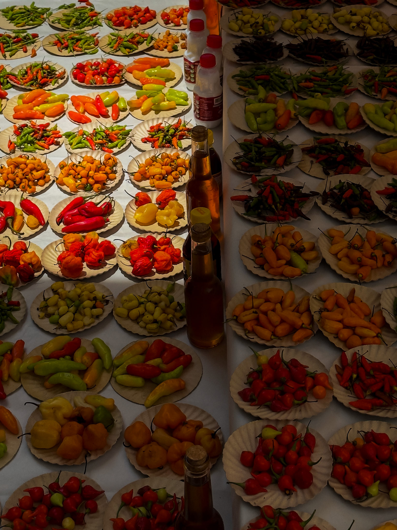 Feira da Glória, Rj