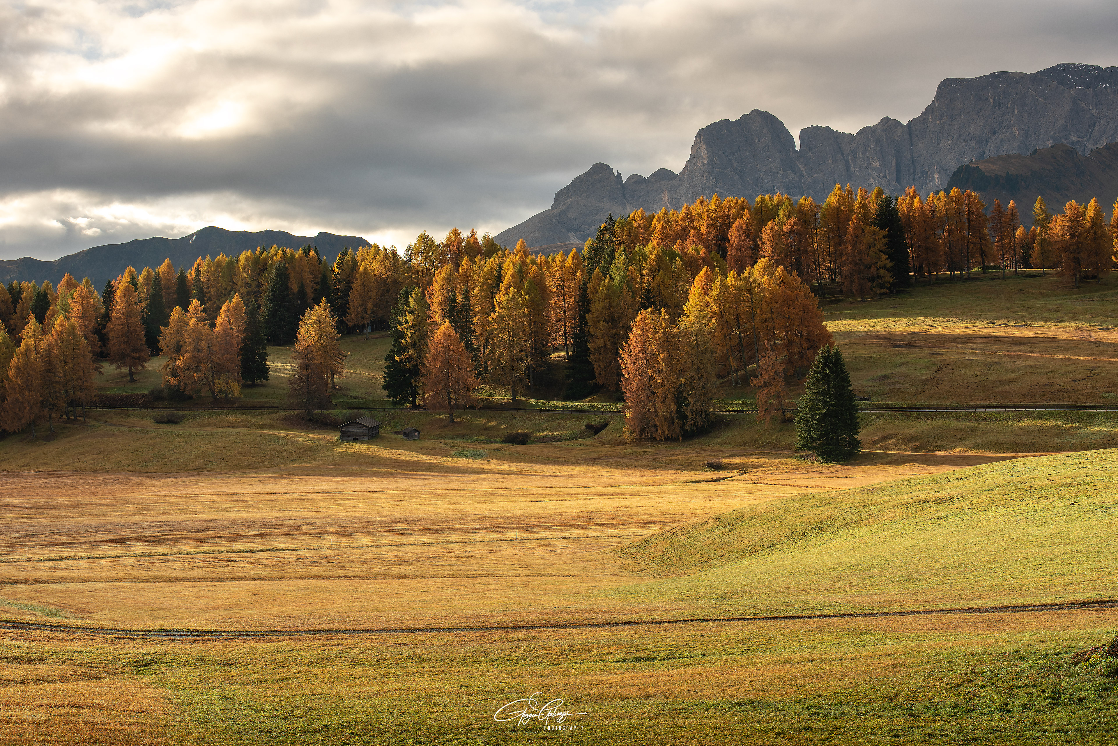 Alpe di Siusi
