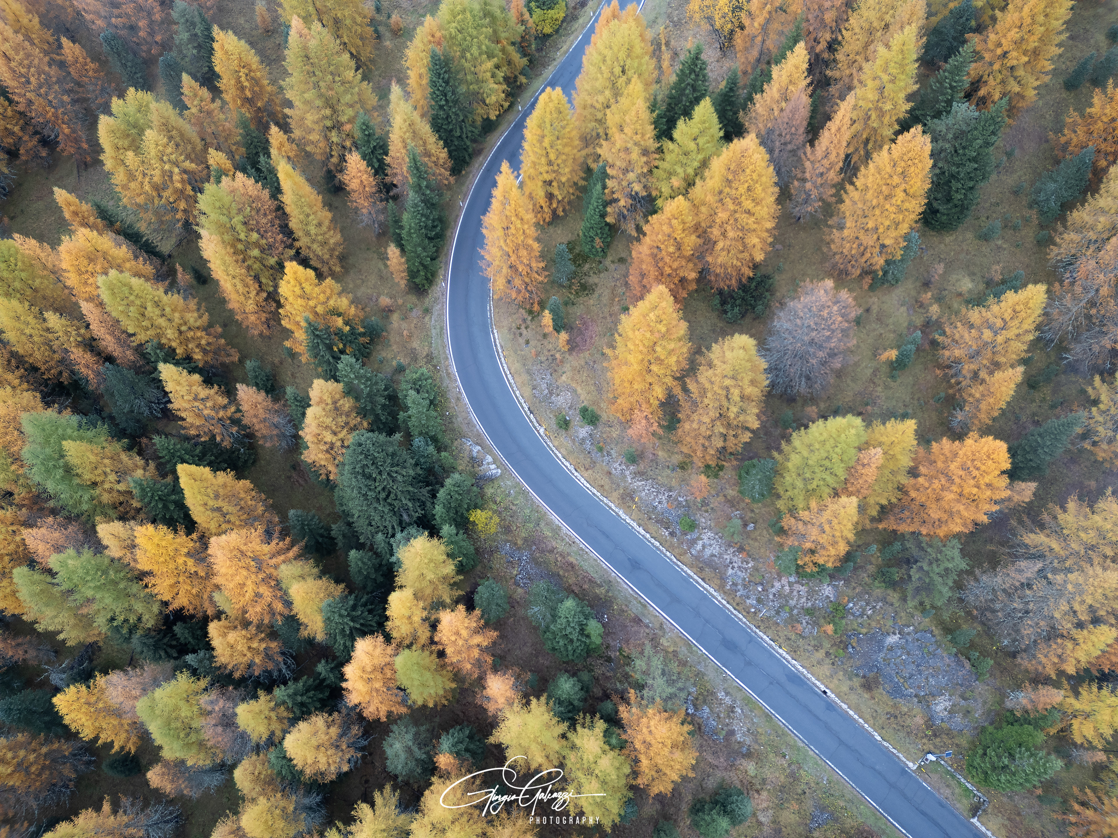 Strada per passo Sella - Foliage