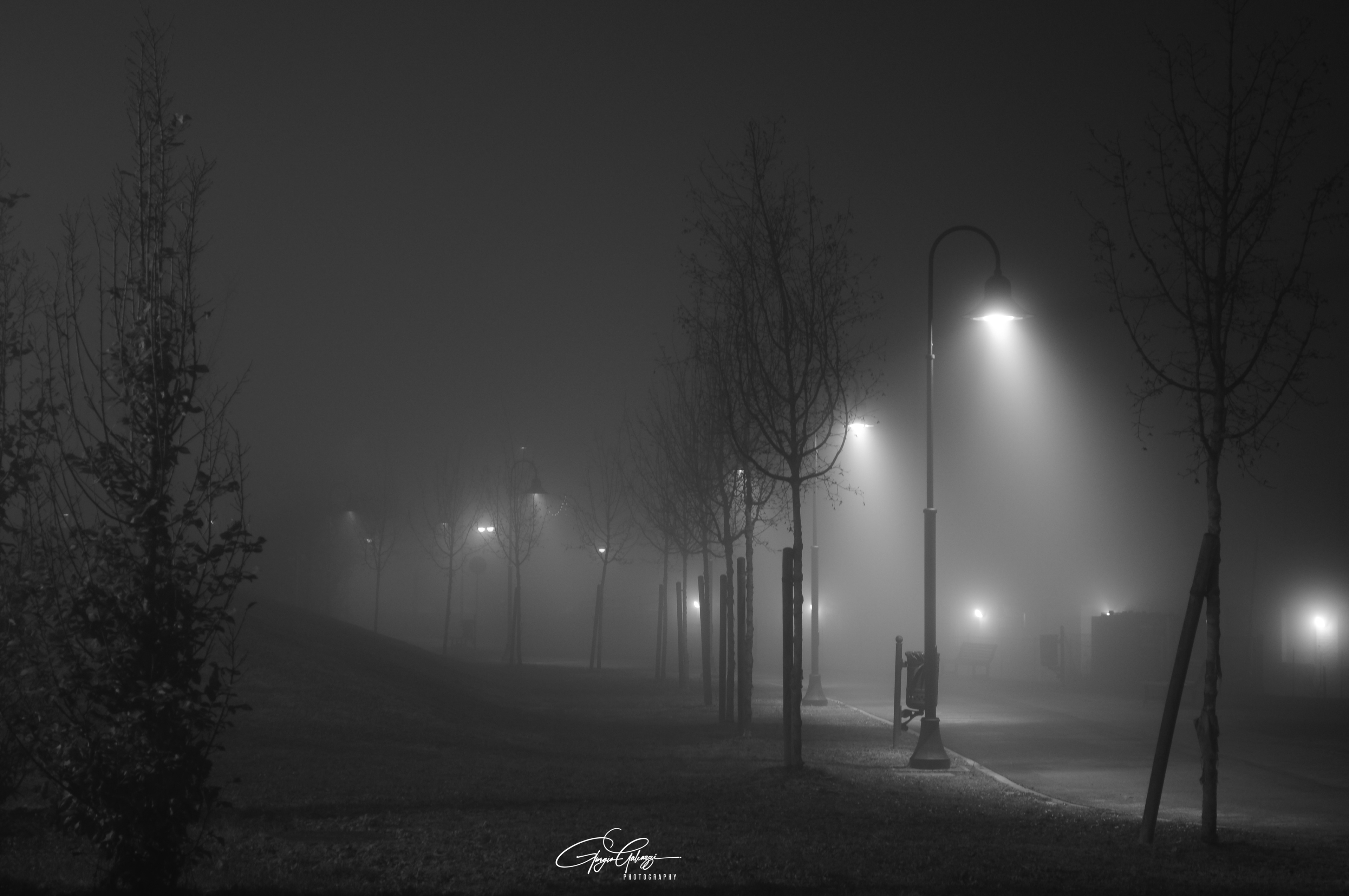 Foggy night in Granarolo