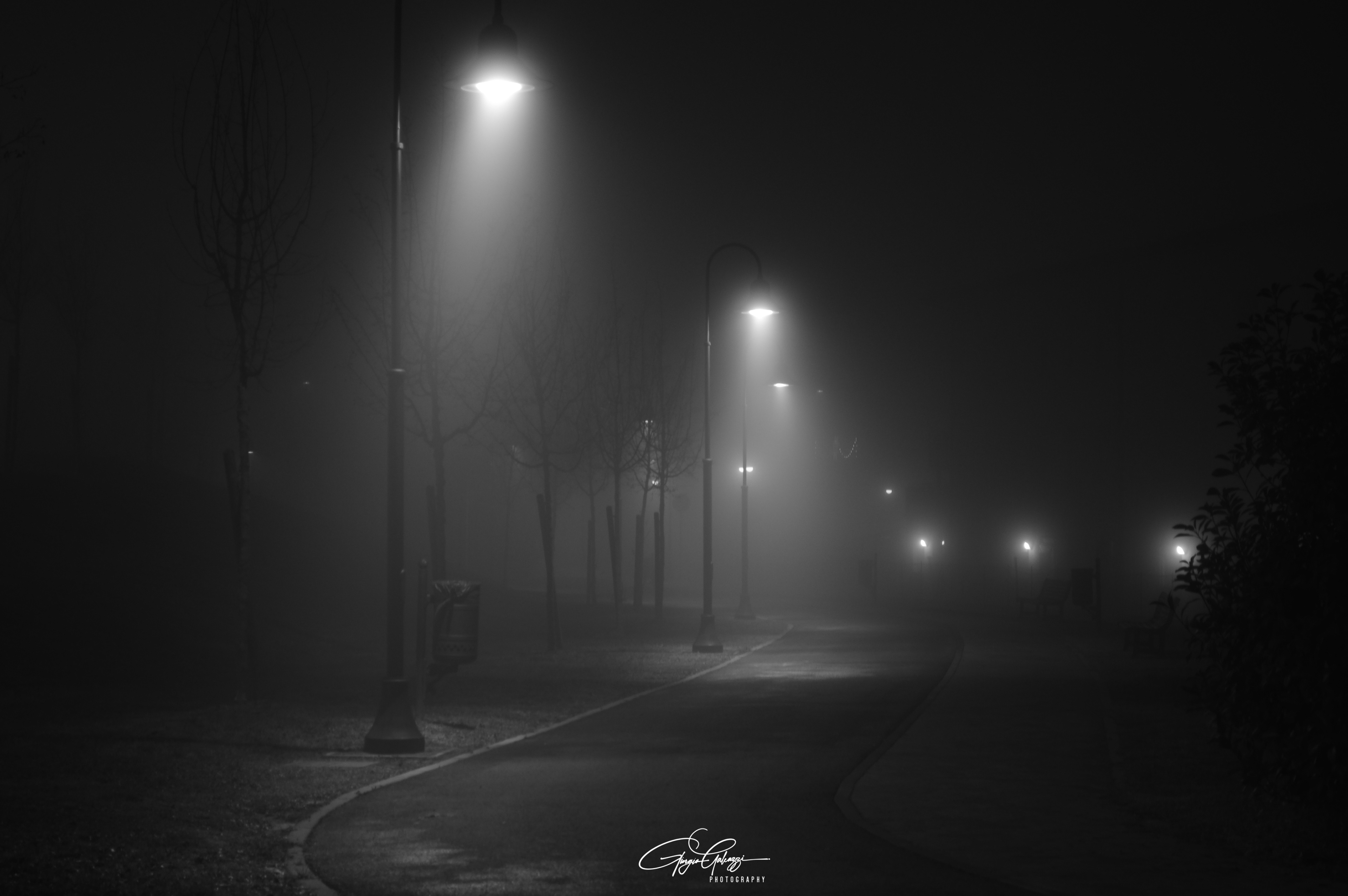 Foggy night in Granarolo
