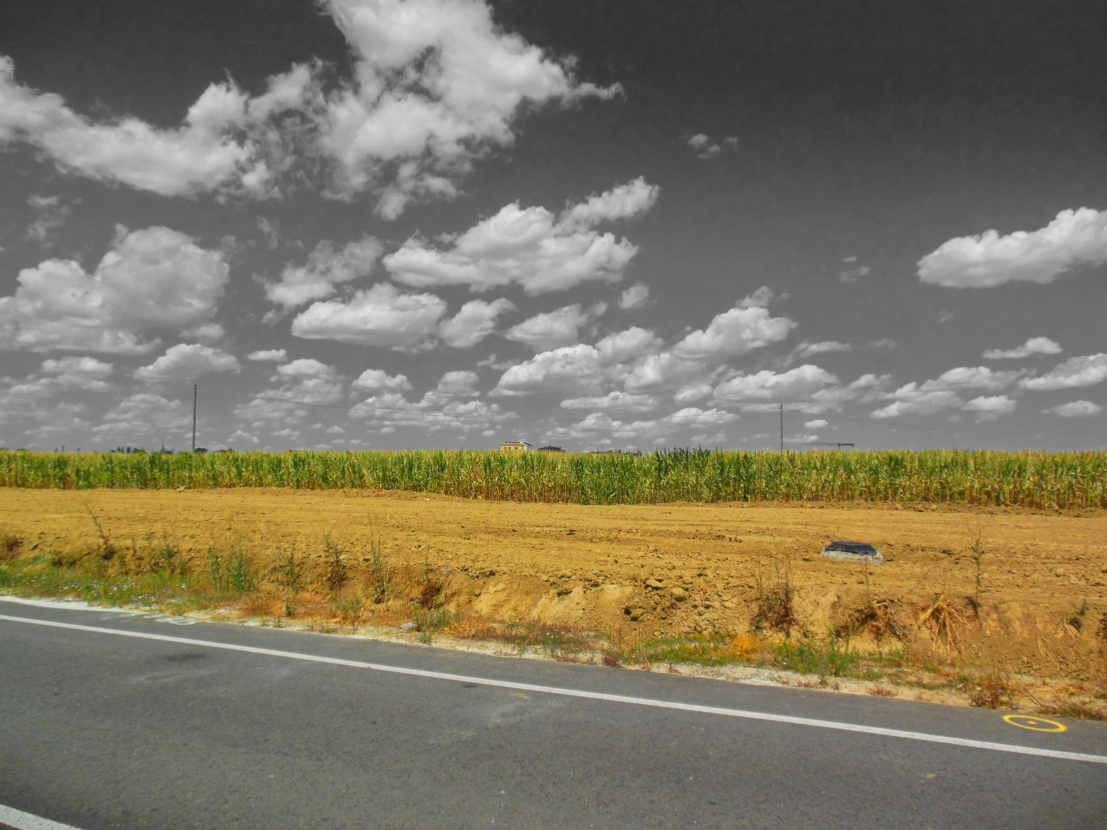 Granarolo dell'Emilia