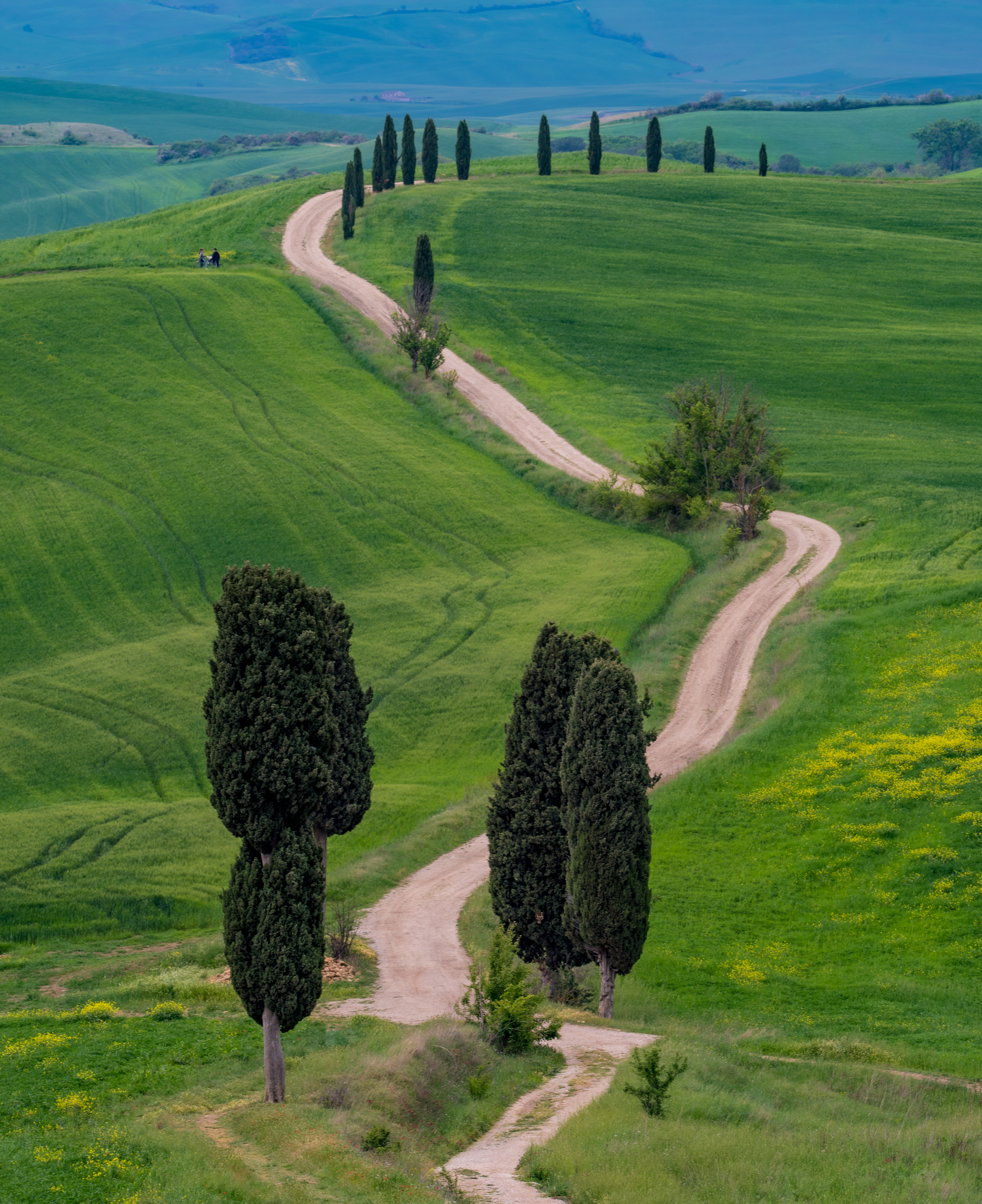 Val d'Orcia Gladiatore
