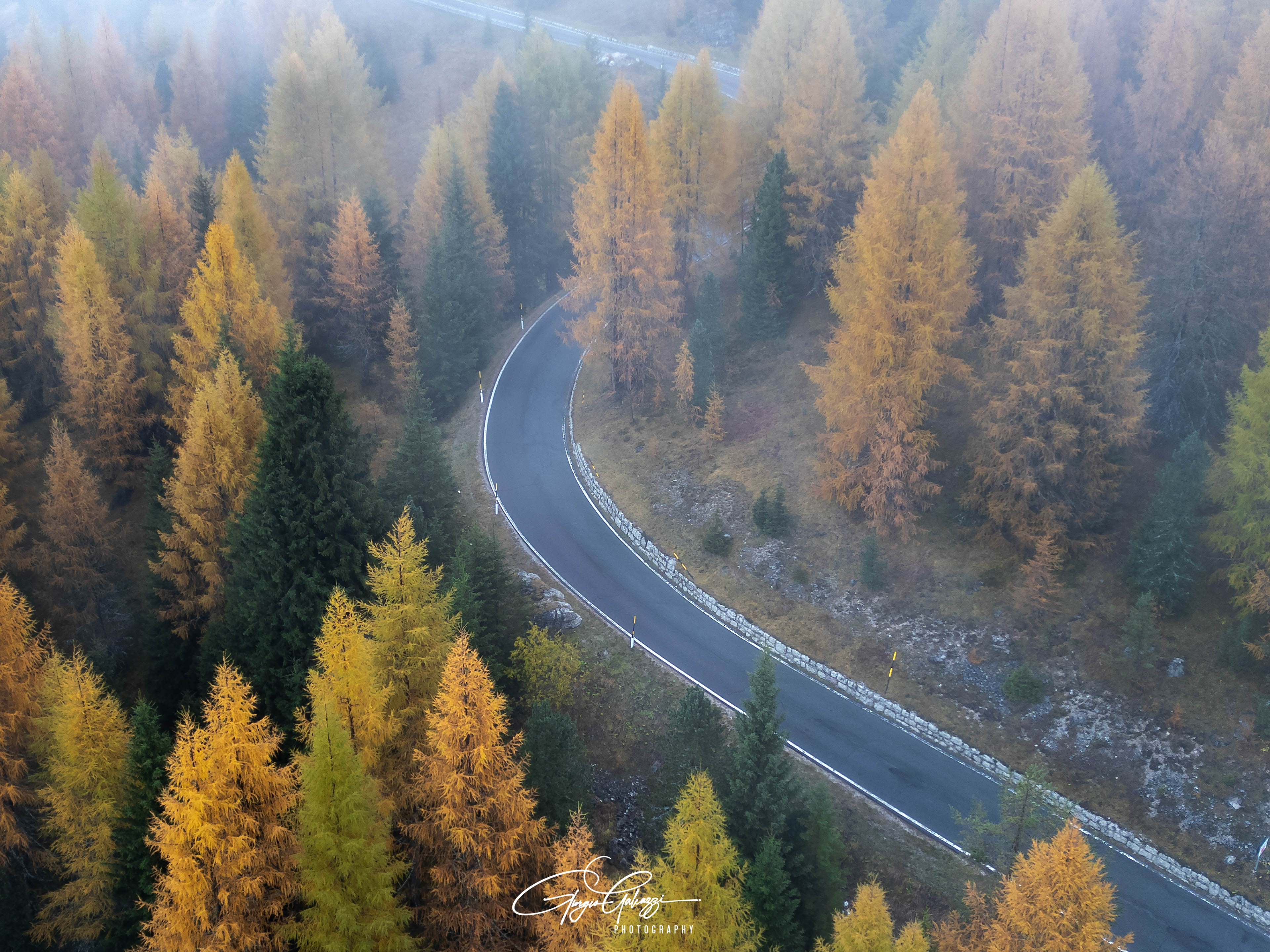 strada per il passo Sella - Foliage
