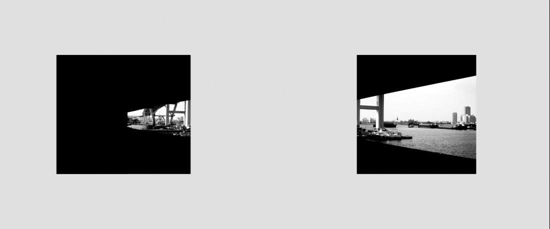 Vidéo concept, Agence Praxys Paysages.