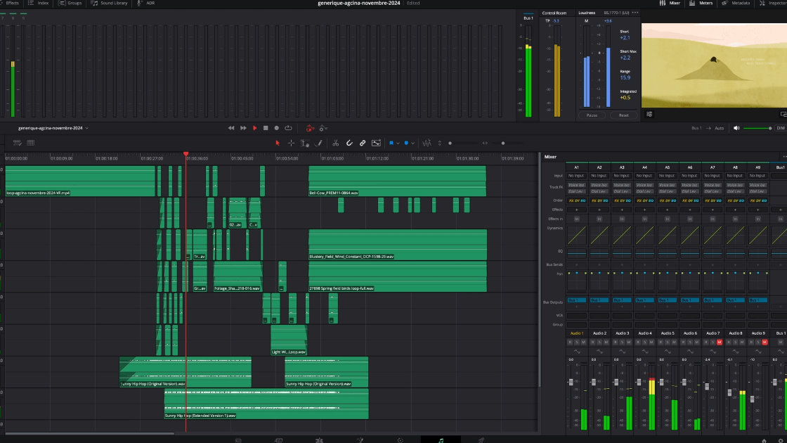 Sound design sur Davinci Resolve