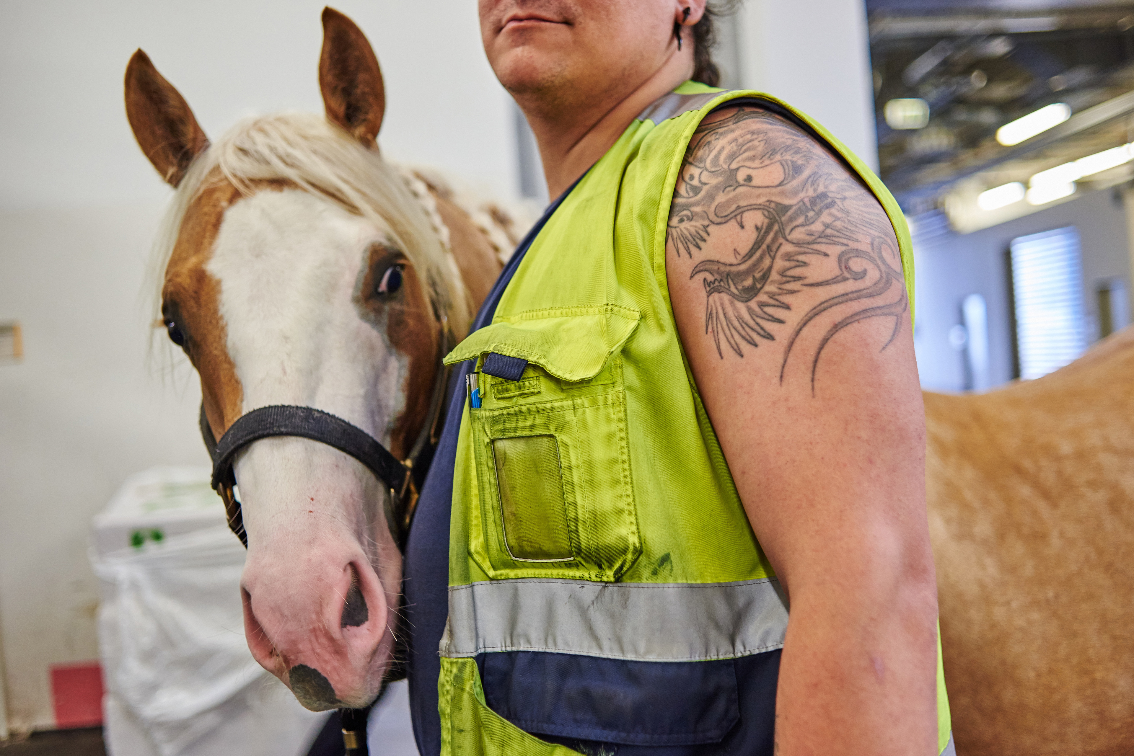 LH Cargo Animal Lounge