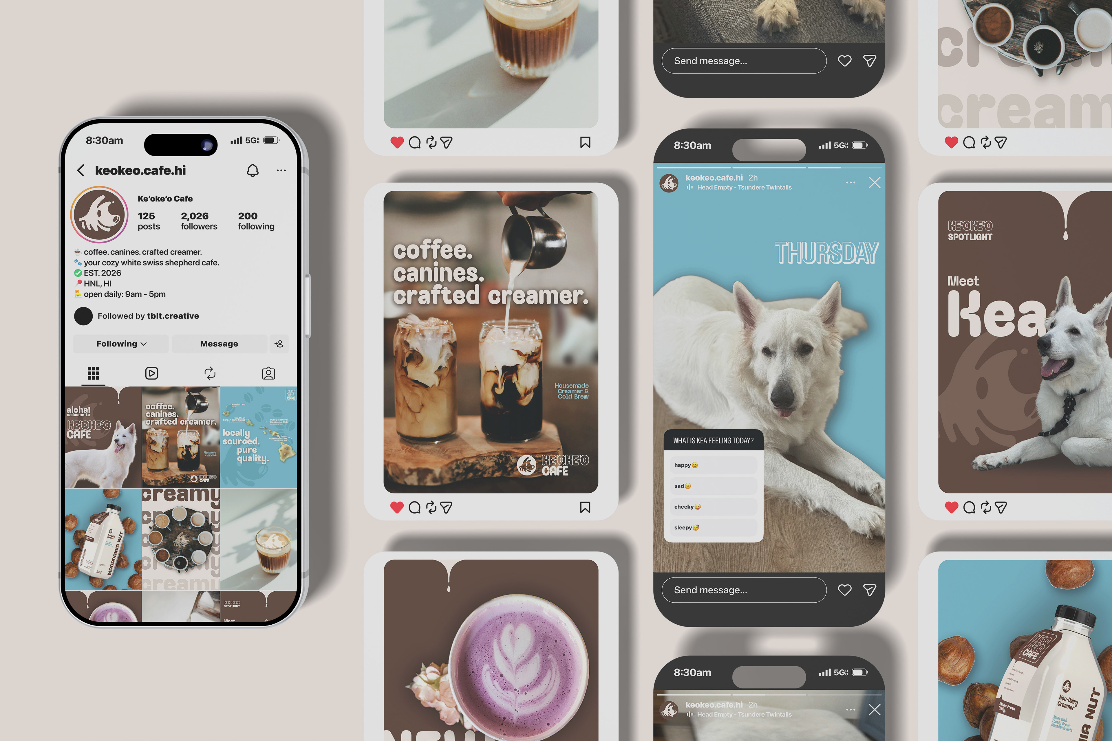 Social Media Presence