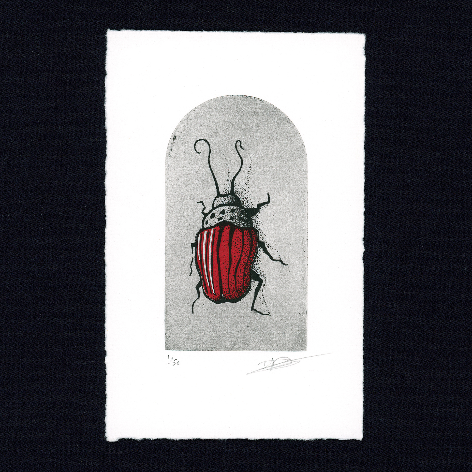 A stylized beetle with bold red and black stripes is depicted on a gray arched background. The beetle's intricate design features detailed antennae and legs, creating a striking visual contrast.