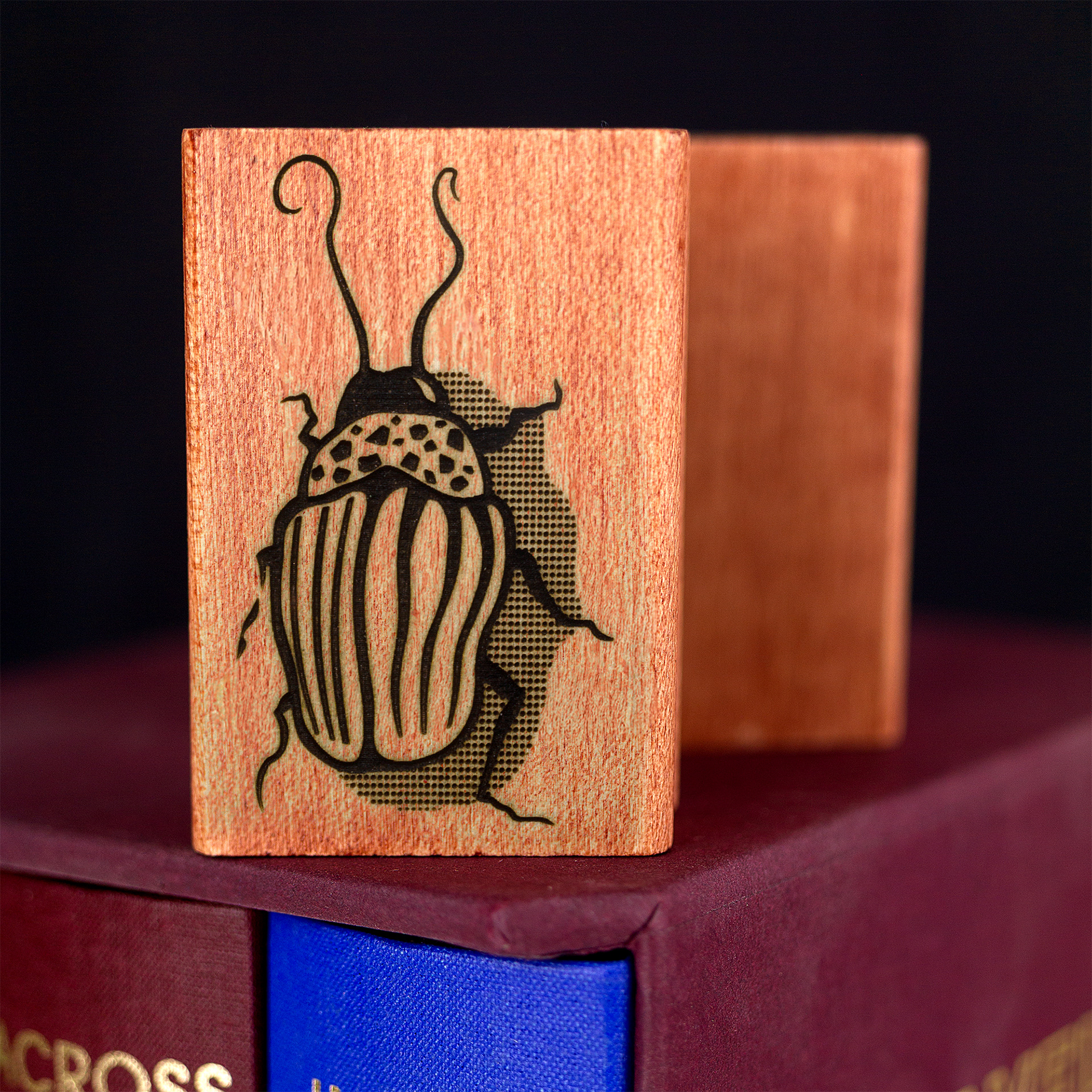 A rubber stamp with a insect illustration and the text “EX LIBRIS CLÉMENT SCARPI” lies next to its stamped impression on white paper.
