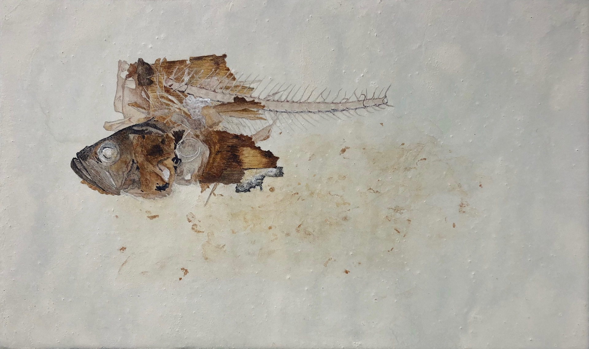 「跡」 -摂食、魚(氷下魚)、人による- 2020 140mm×220mm 紙本彩色、岩絵具