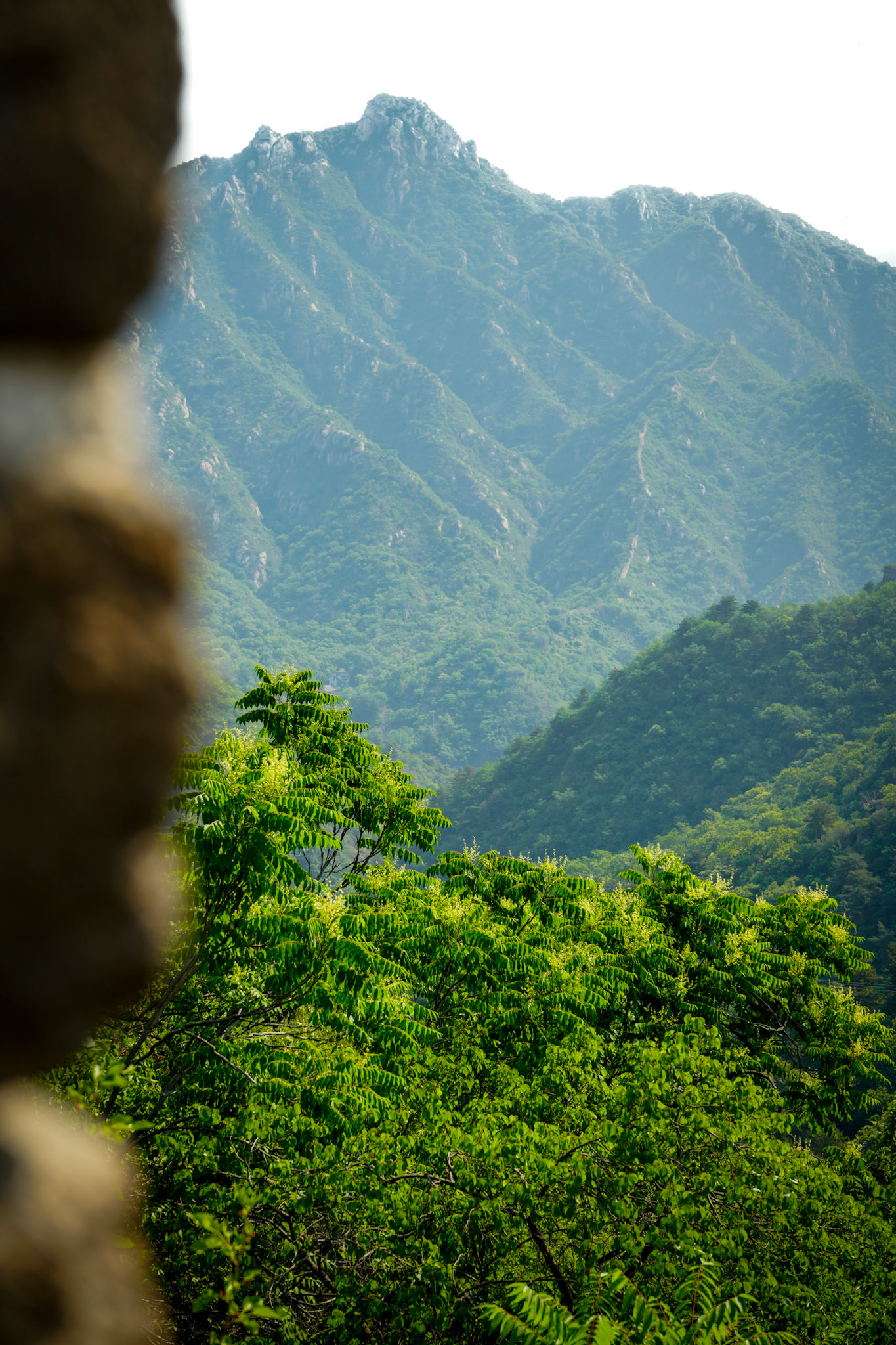 The Great Wall (Mutianyu Section)
