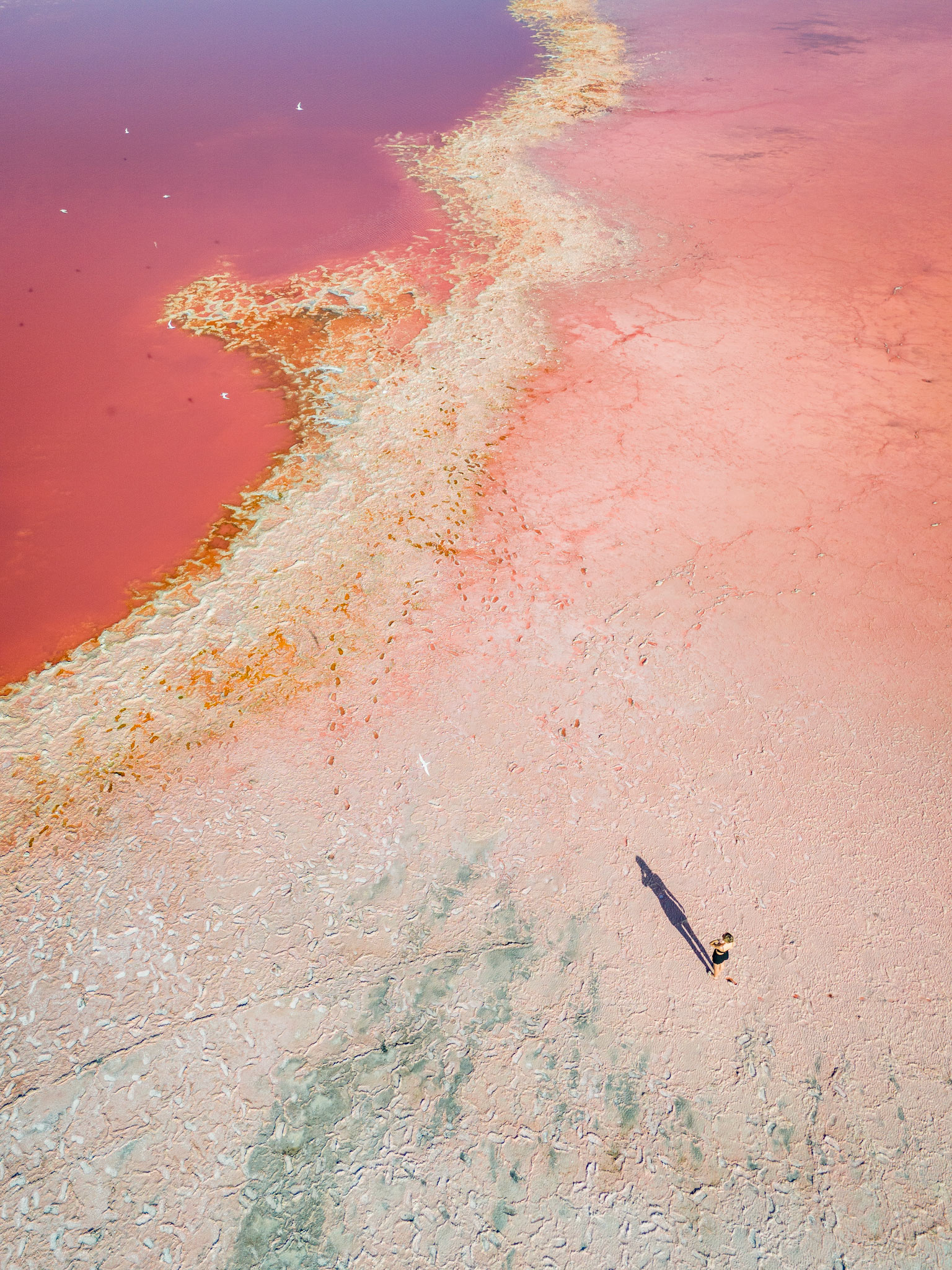 Hutt Lagoon