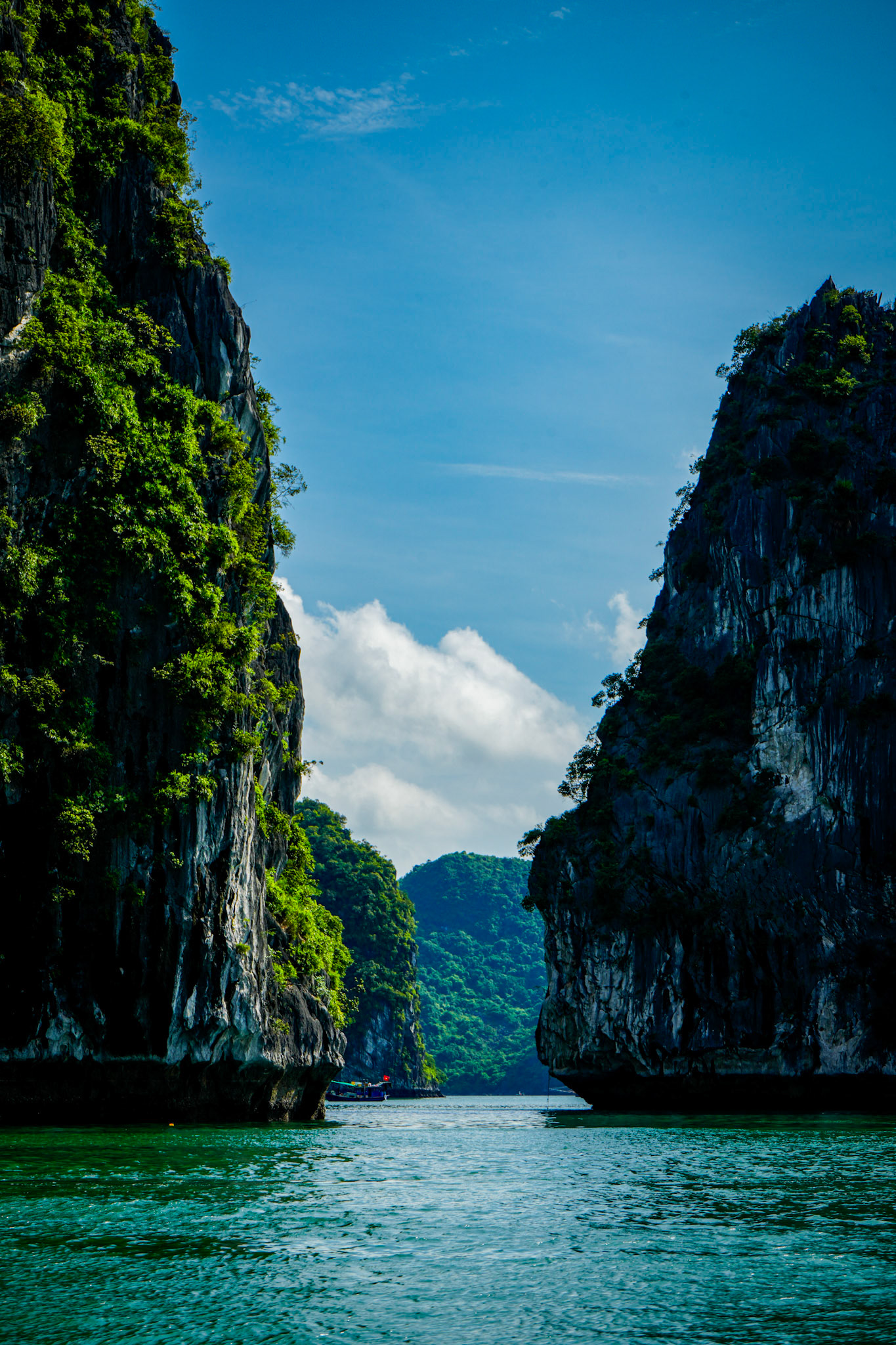 The Natural Beauty of Halong Bay