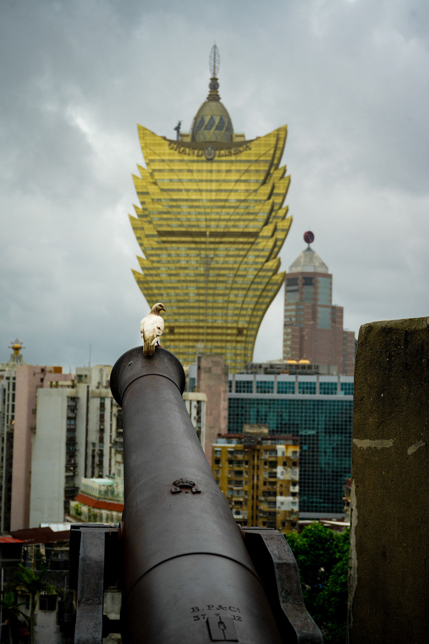 Dove of Peace on Monte Fort Cannons