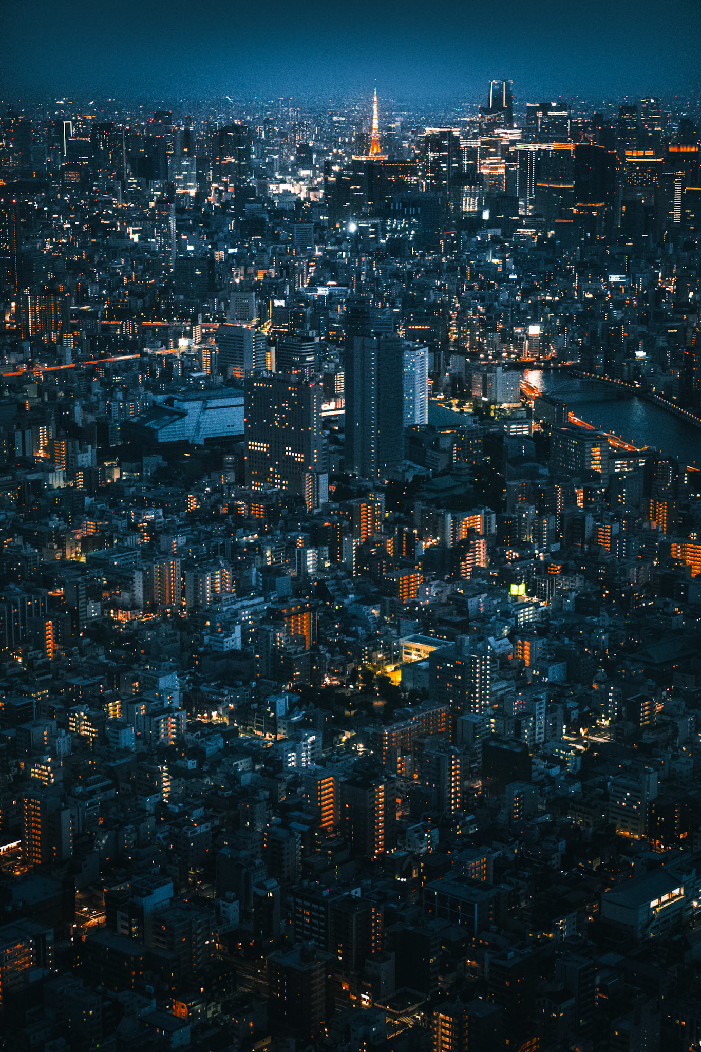 Above Tokyo at Night