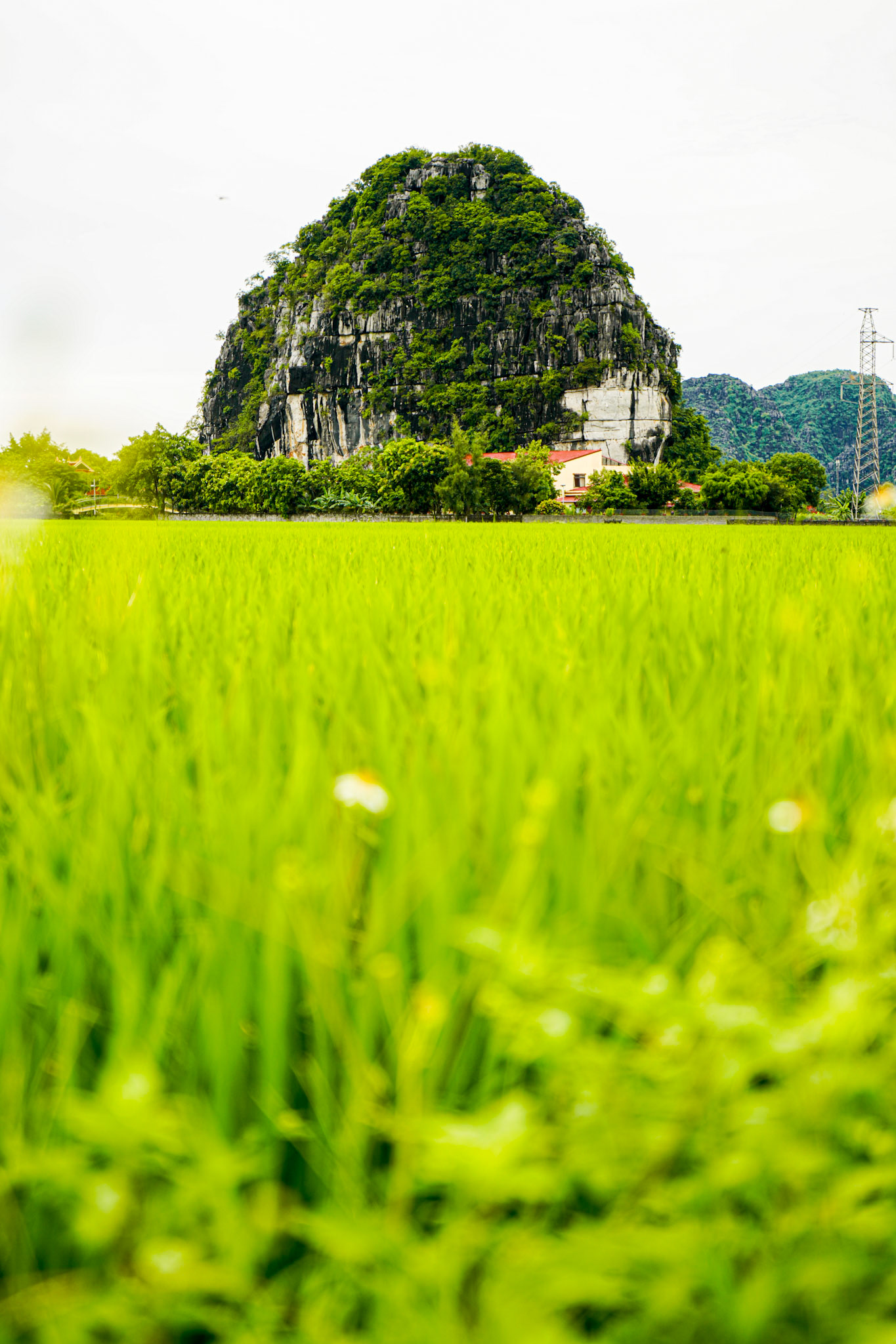 Landscape of Ninh Binh