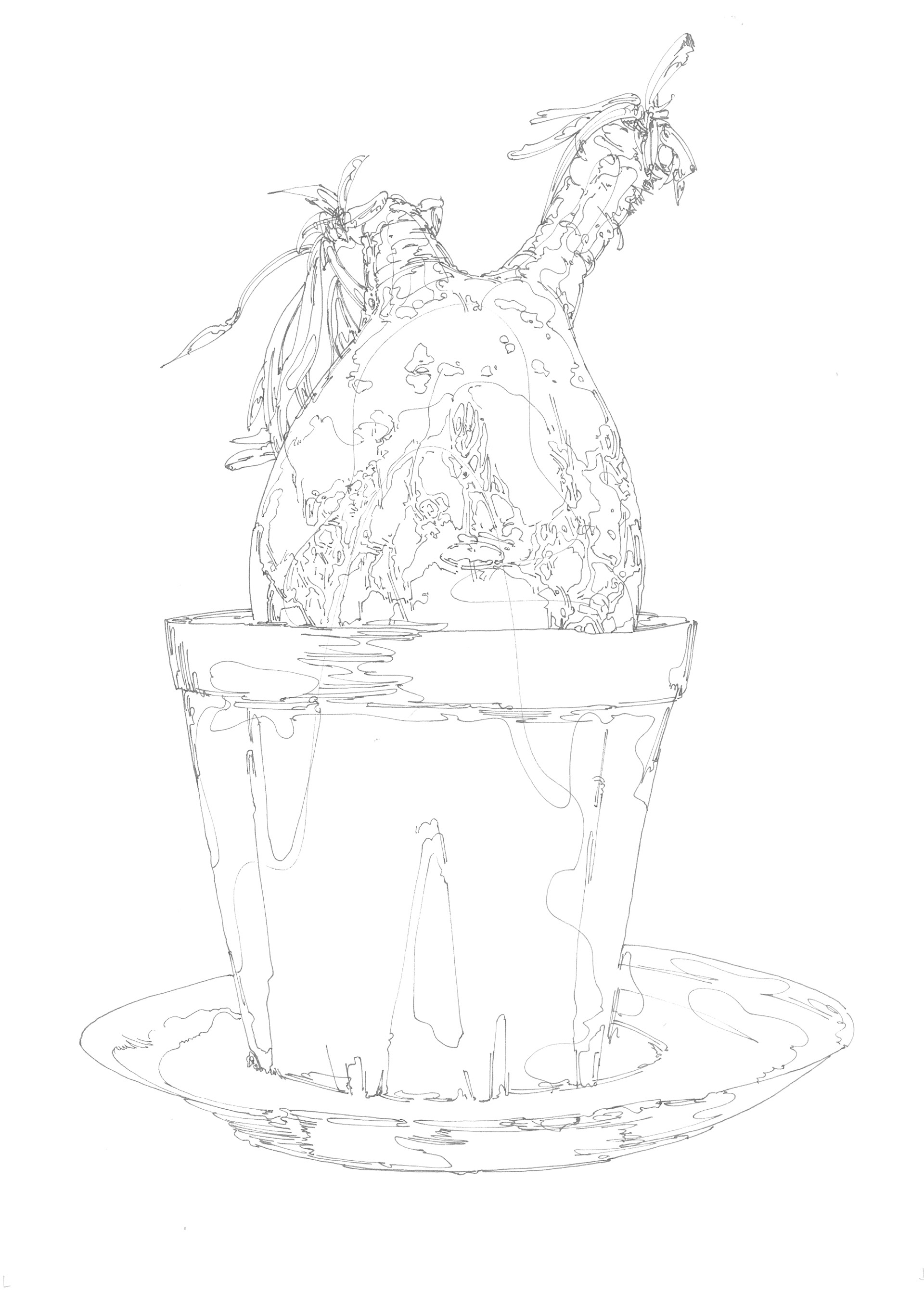 Pachypodium gracilius | 紙、インク | 29.7×21cm | 2024年