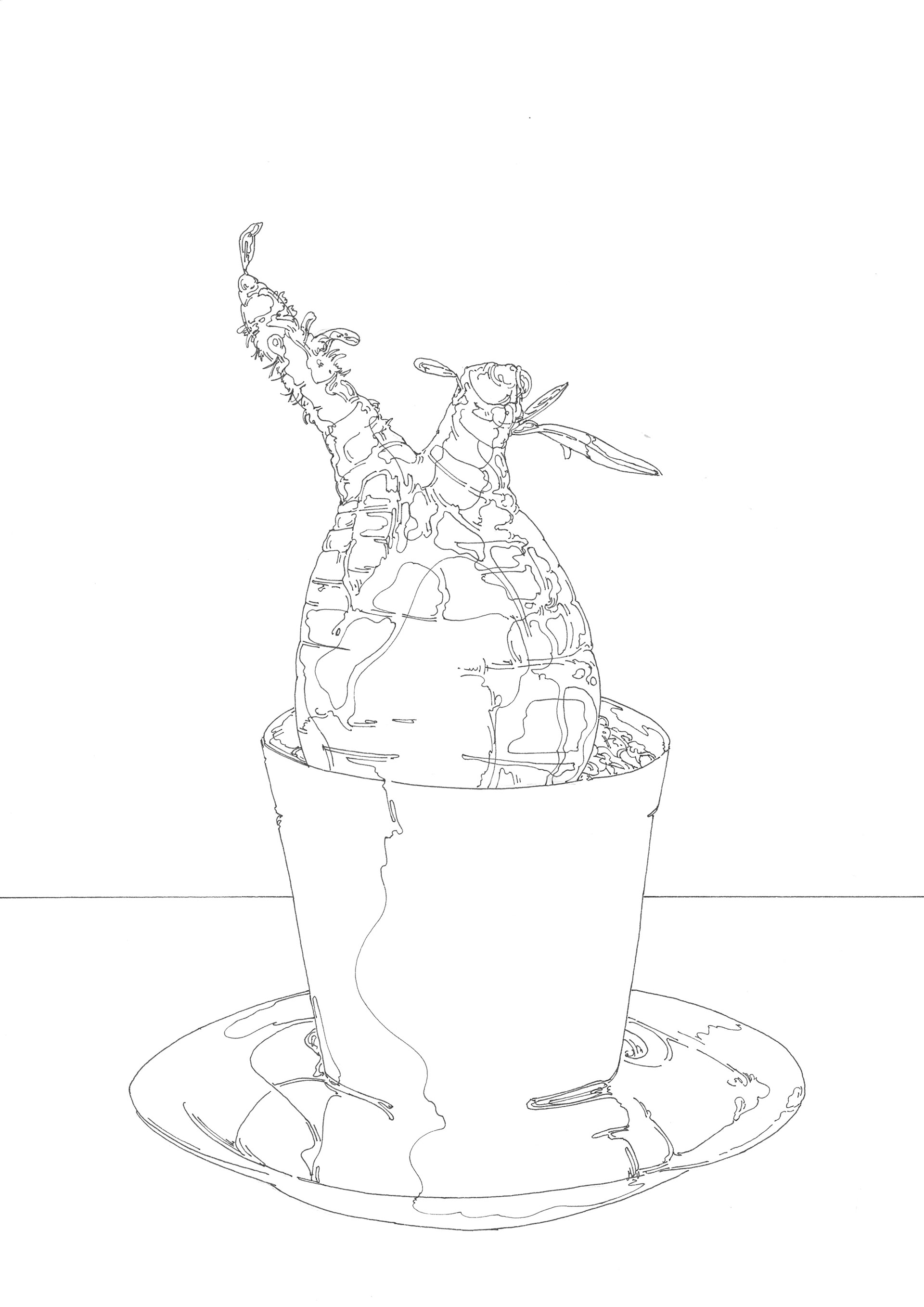 Pachypodium gracilius | 紙、インク | 29.7×21cm | 2023年