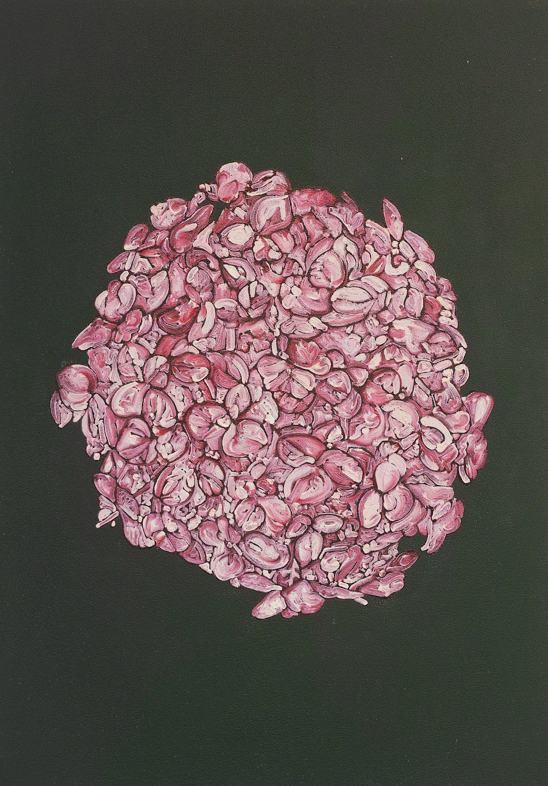 Hydrangea macrophylla | パネル、ジェッソ、油絵具 | 29.7×21cm | 2021年