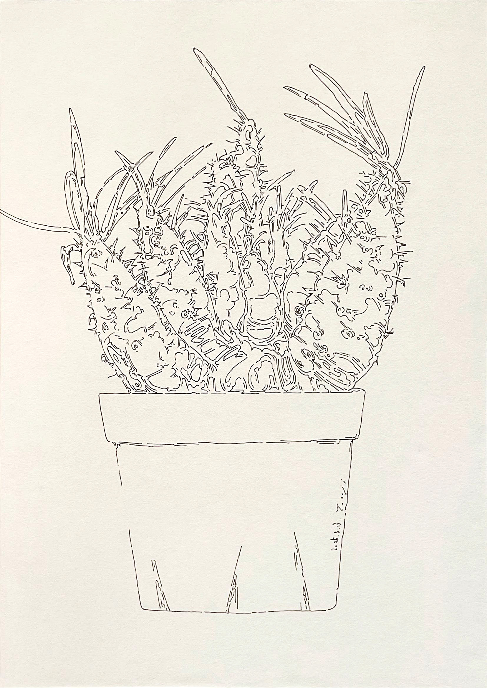 Pachypodium gracilius | 紙、インク | 29.7×21cm | 2024年