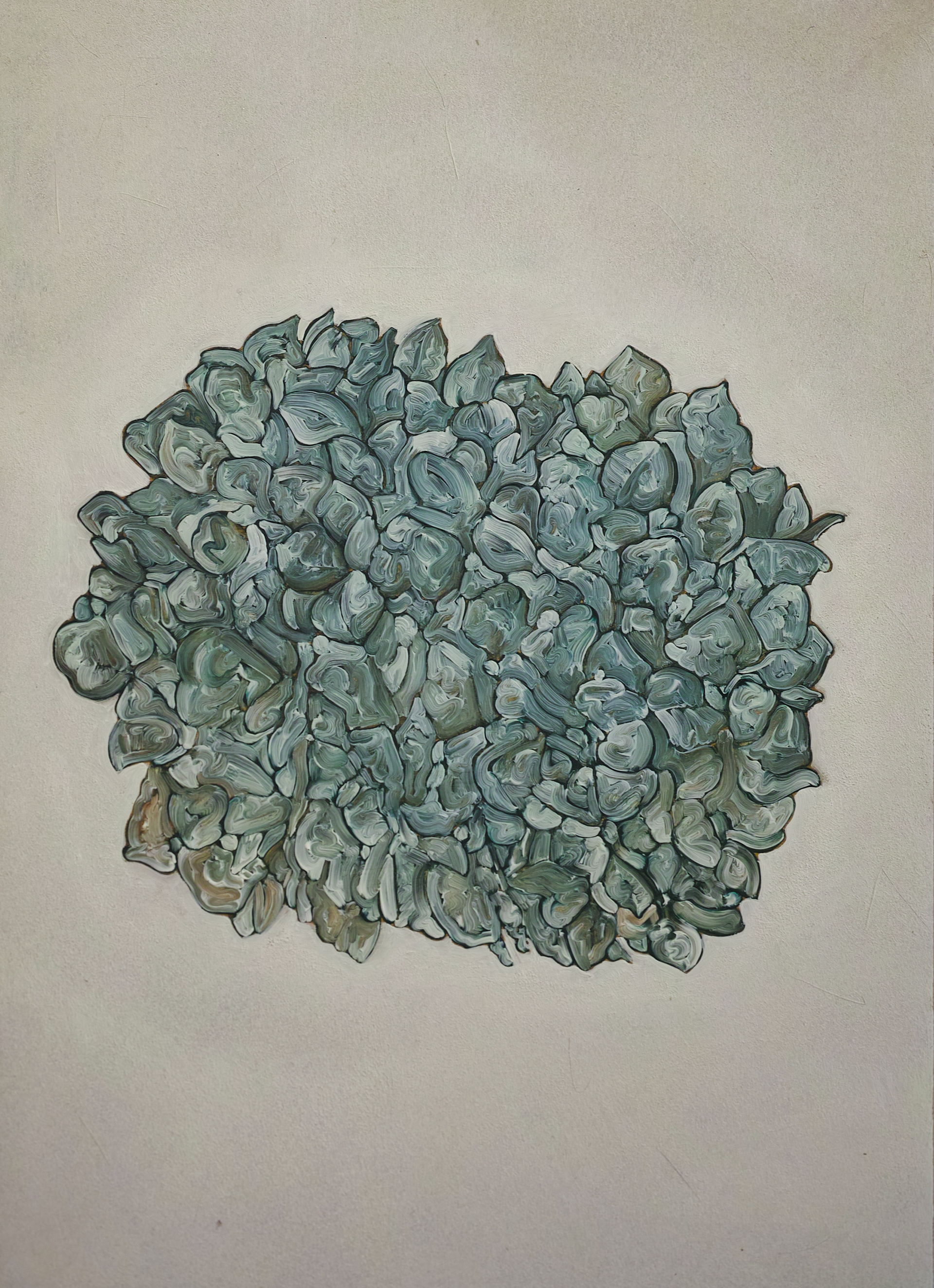 Hydrangea macrophylla | パネル、ジェッソ、油絵具 | 29.7×21cm | 2021年
