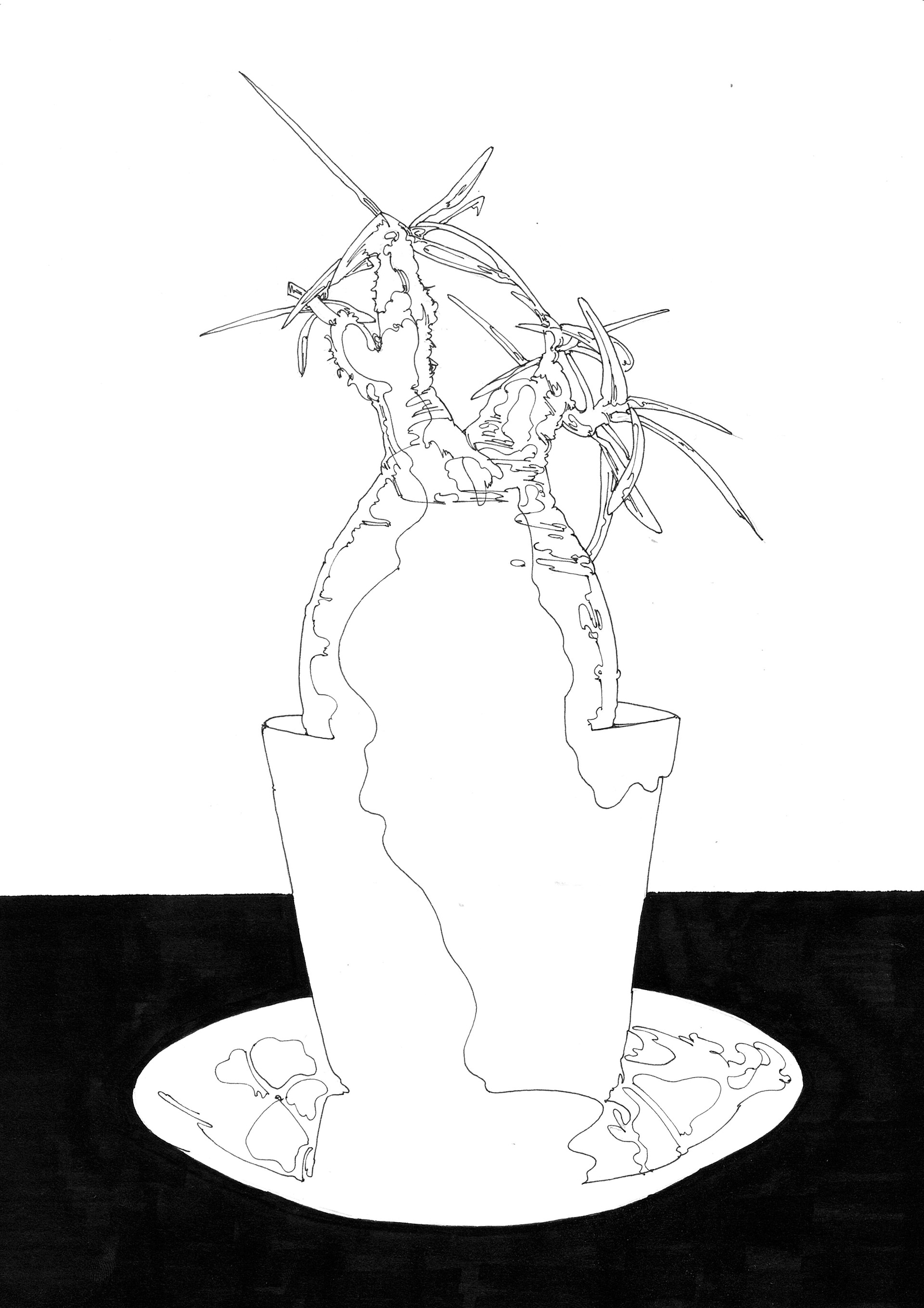 Pachypodium gracilius | 紙、インク | 29.7×21cm | 2023年