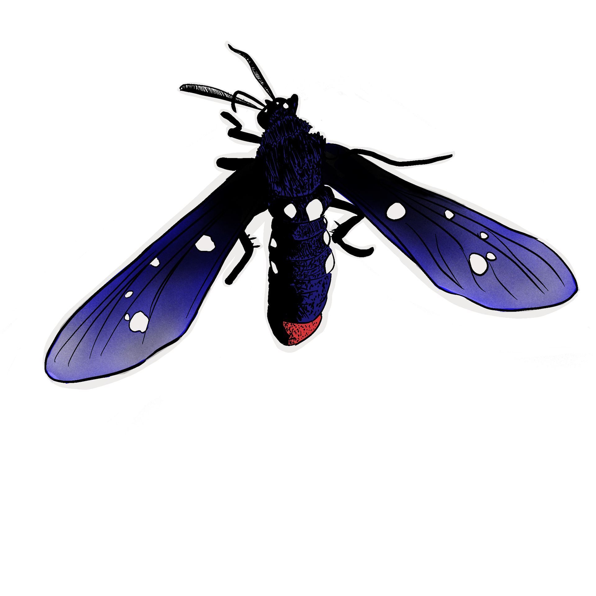 Atomic Chrysalis by Maysam Al-Ani