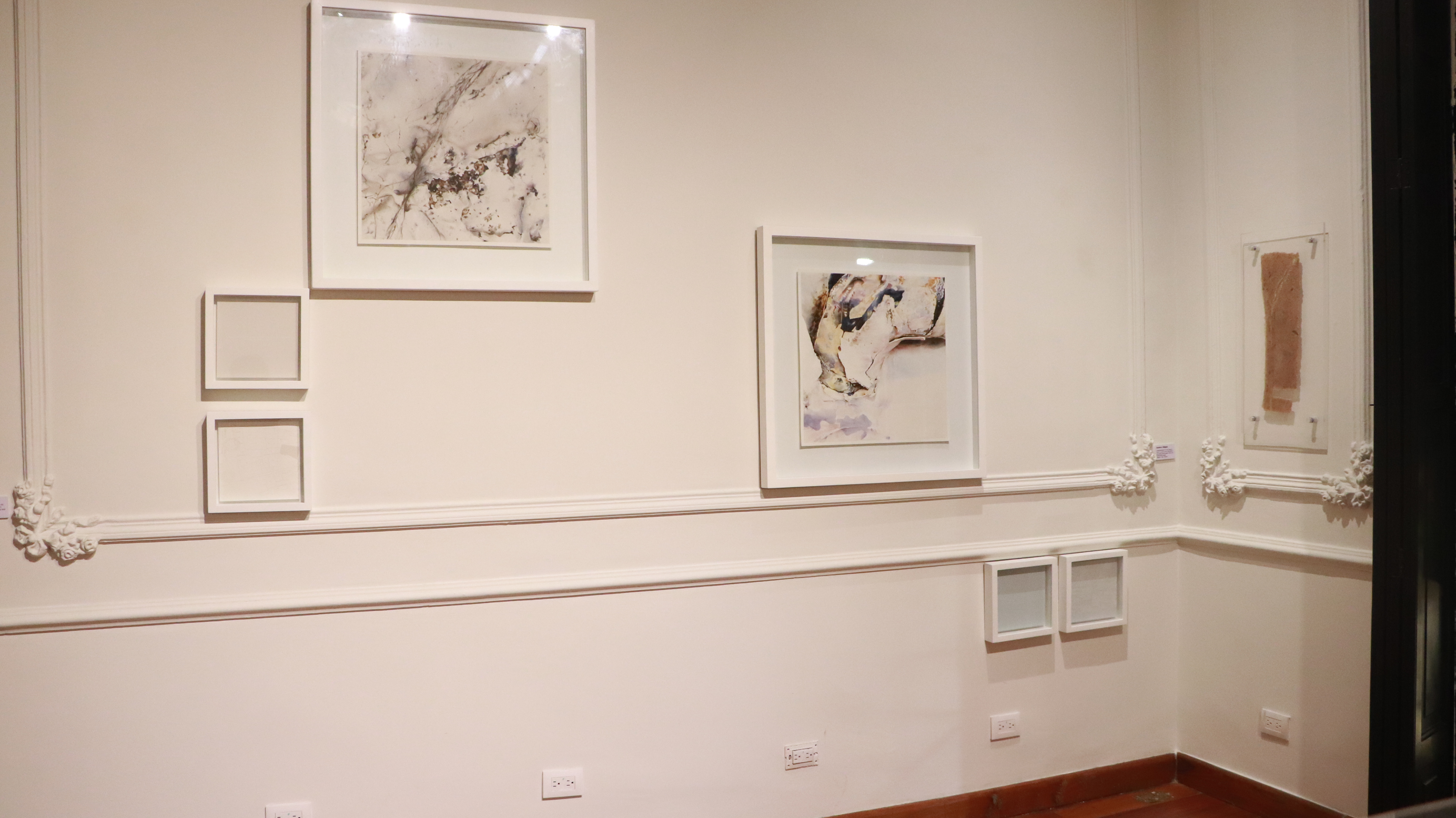 Gustavo Villegas, Impermanencia 10 y  16 con intervención