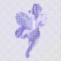 Santiago Salazar, Patrón para bordar una jacaranda, 2023. Digital Artistamp