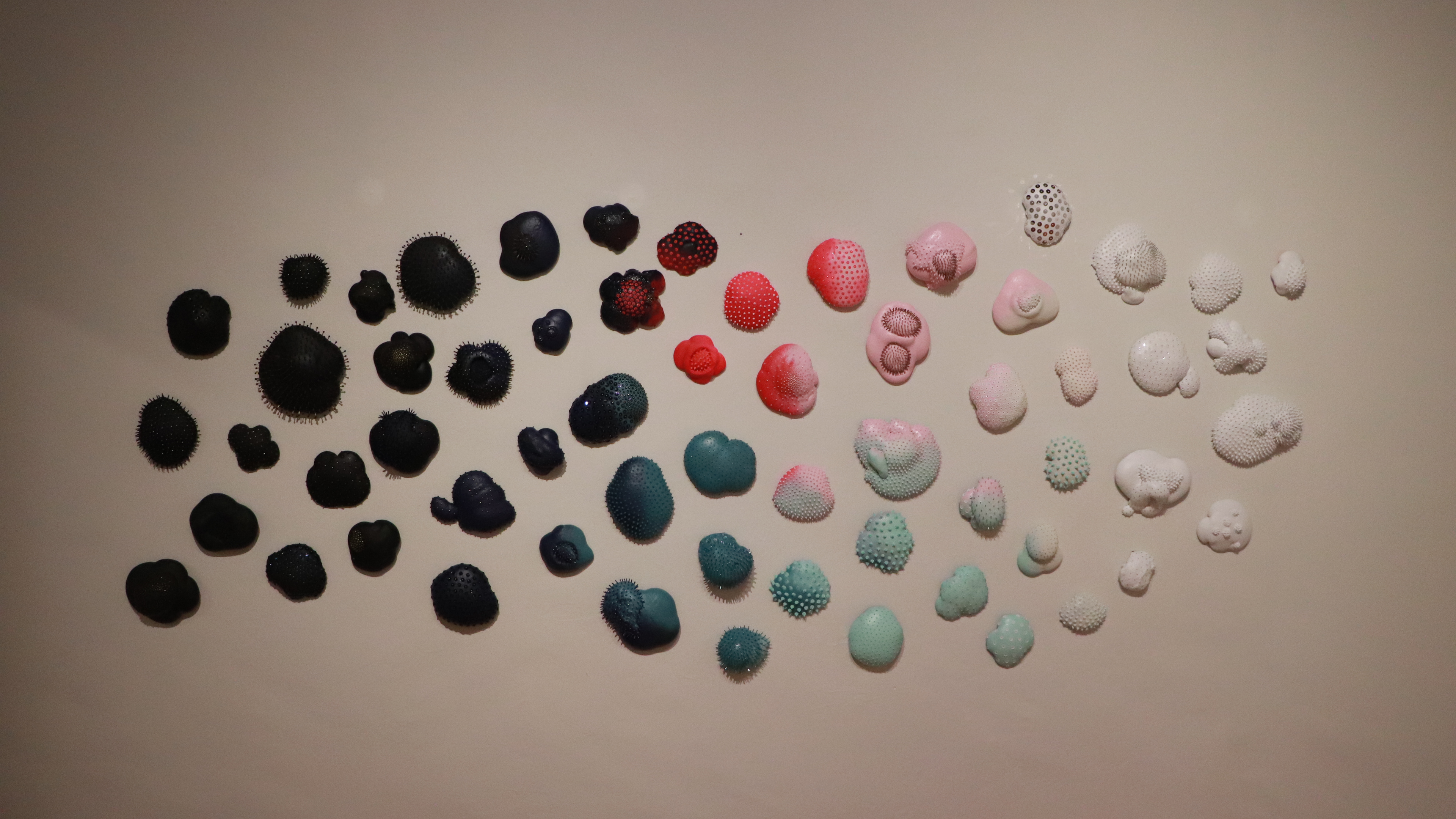 Sharon Berebichez, Dying Reef