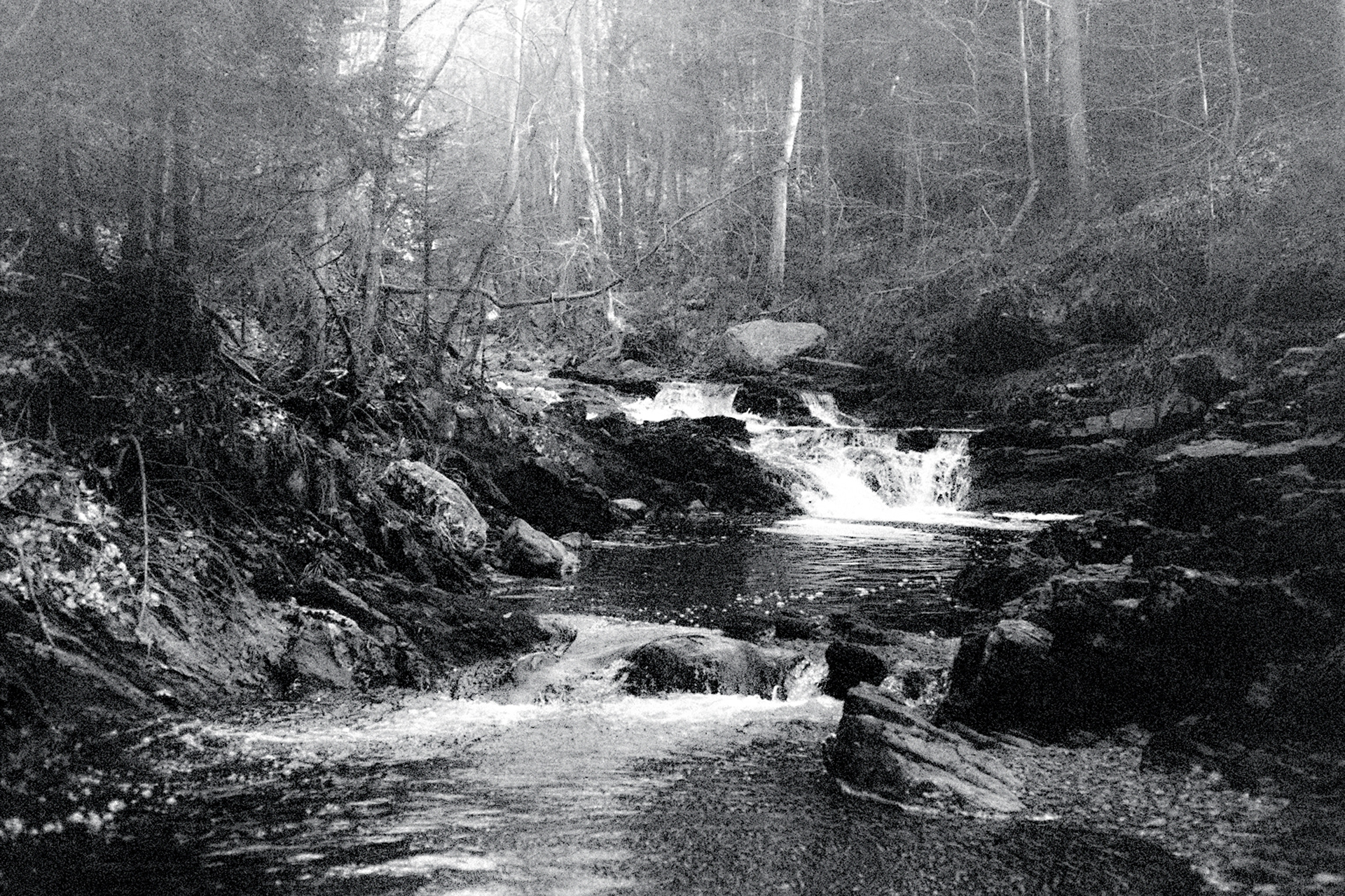 Ardennes Belgium 2024