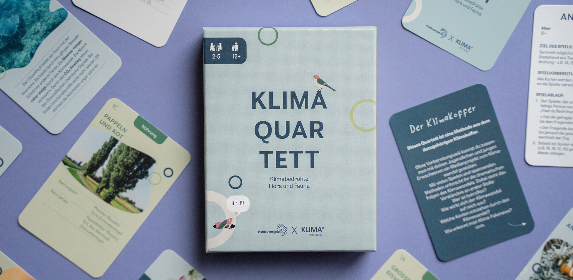 Spiel zur Klimakrise; Klimaquartett von kofferprojekte21; Spielkartendesign Nürnberg
