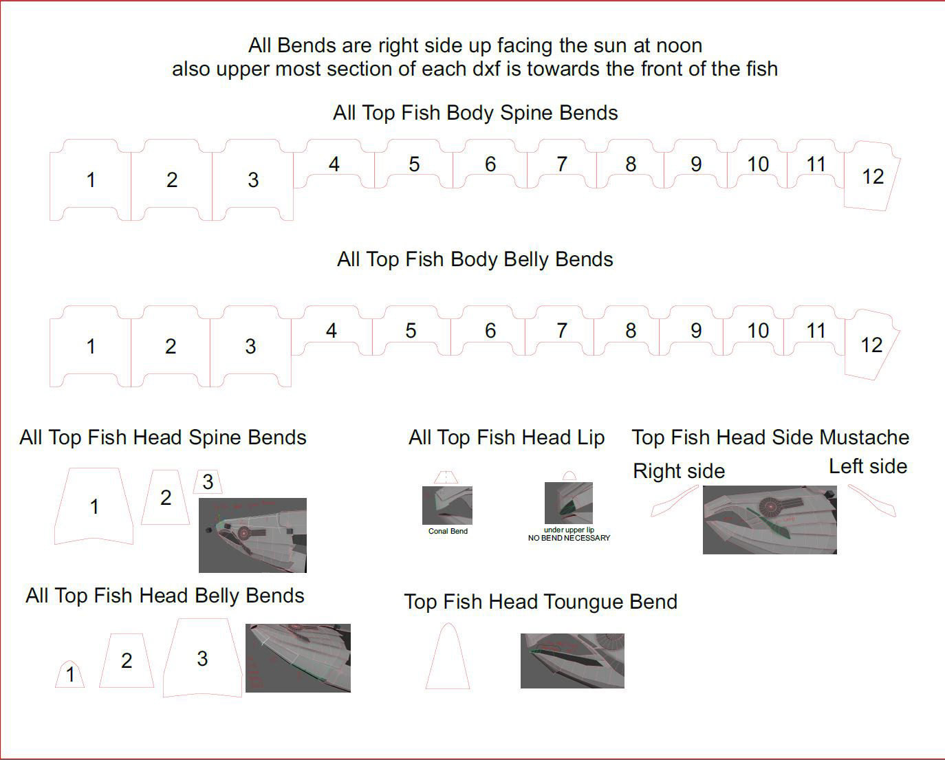Skin Layouts for spine and Belly