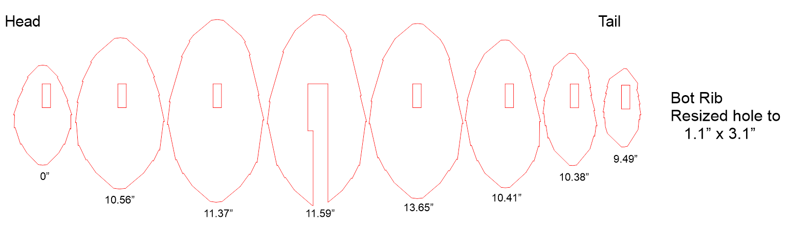 Rib Cuts for Skeleton
