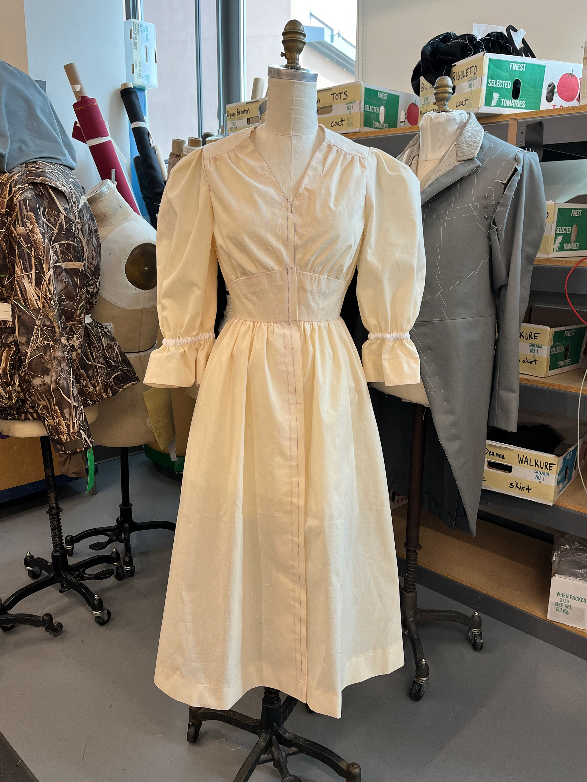 Sieglinde dress mockup